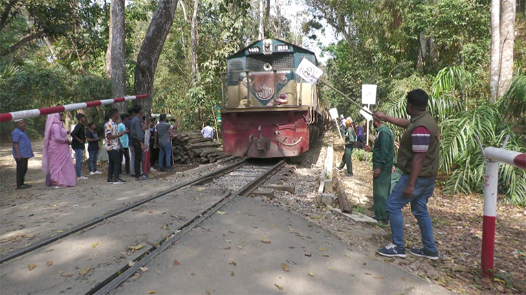 লাউয়াছড়ায় রেলপথ, এক বছরে শতাধিক বন্যপ্রাণীর মৃত...