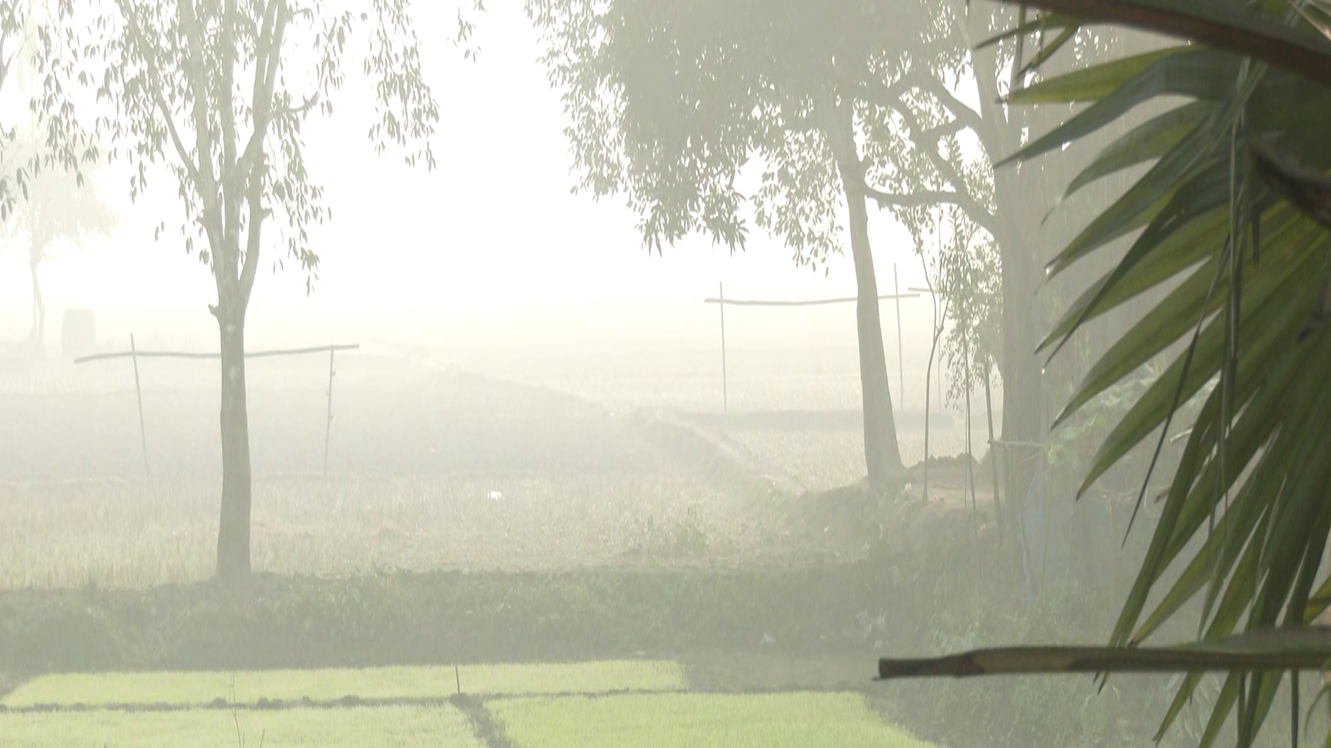 শৈত্যপ্রবাহ নিয়ে যে বার্তা দিলো আবহাওয়া অফিস