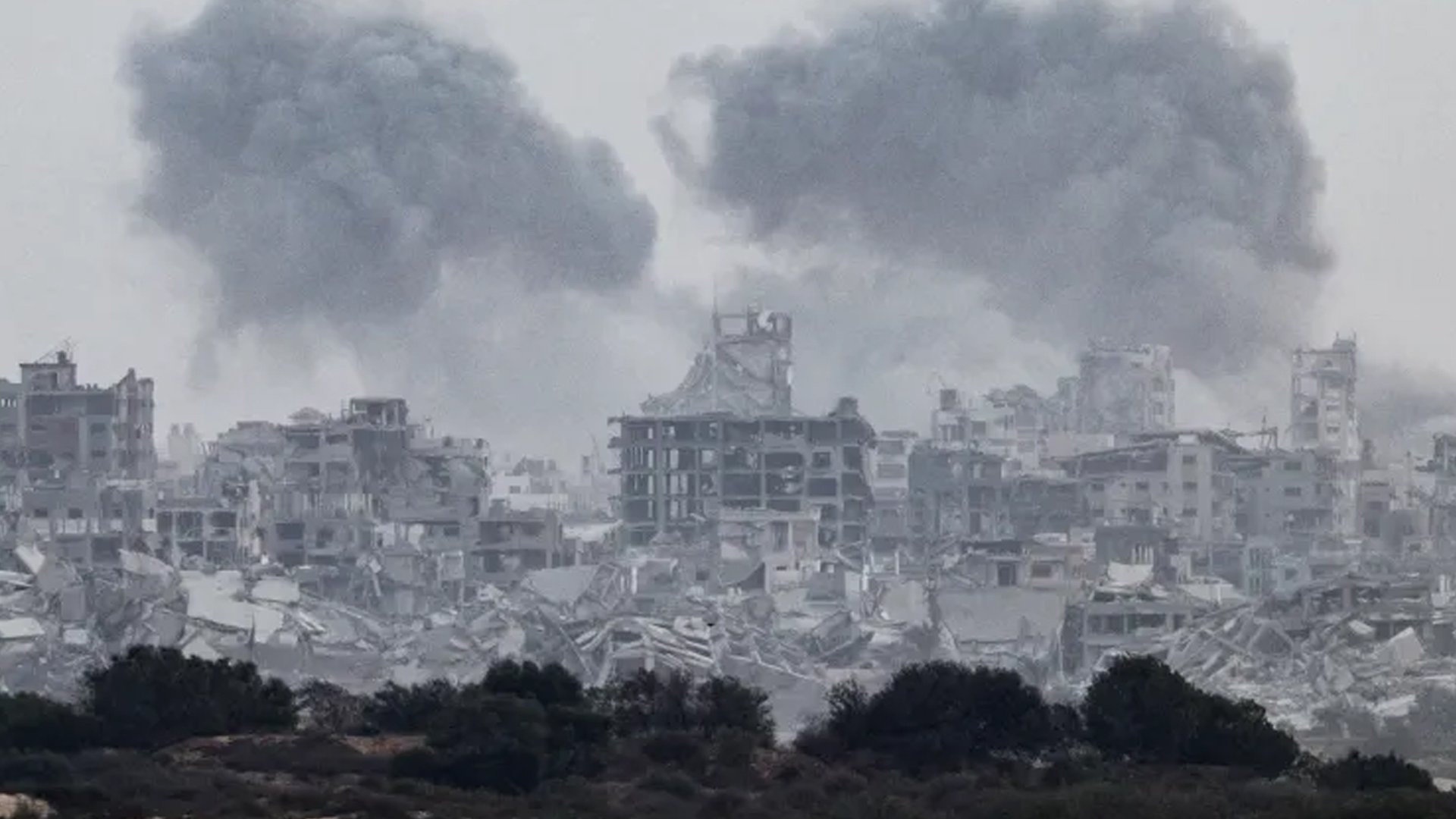 মিশরে বসছে হামাস-ইসরাইল, ‘দ্রুত’ পদক্ষেপ নিতে বললেন ট্রাম্প