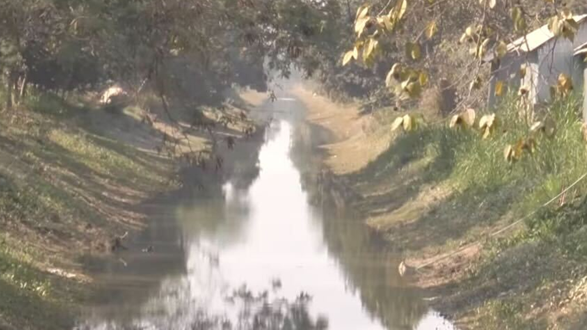 মাটি-পানি ও বায়ু দূষণে হুমকির মুখে কুষ্টিয়ার কৃষি ও জীববৈচিত্র্য