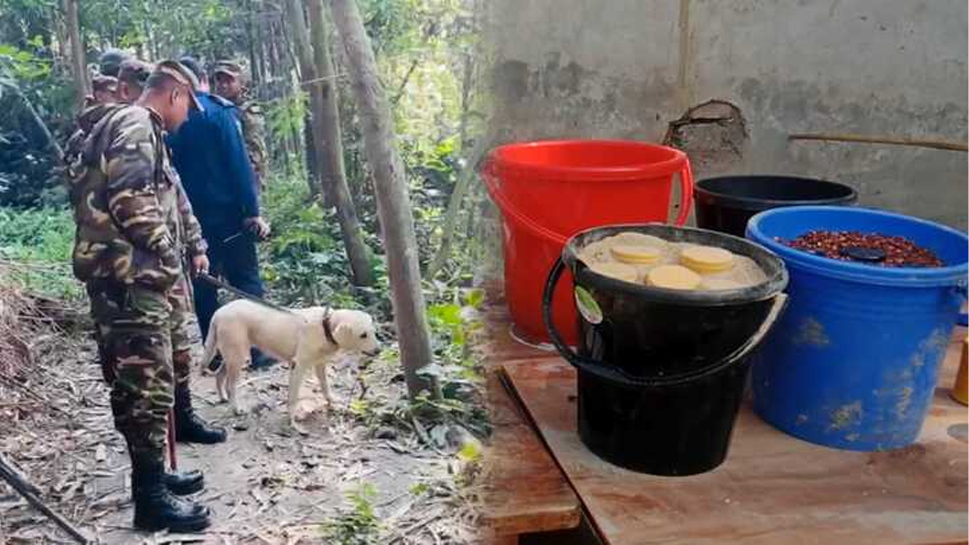 শরীয়তপুরে যৌথ বাহিনীর অভিযান, ৪৫ ককটেল ও দেশীয় অস্ত্র উদ্ধার