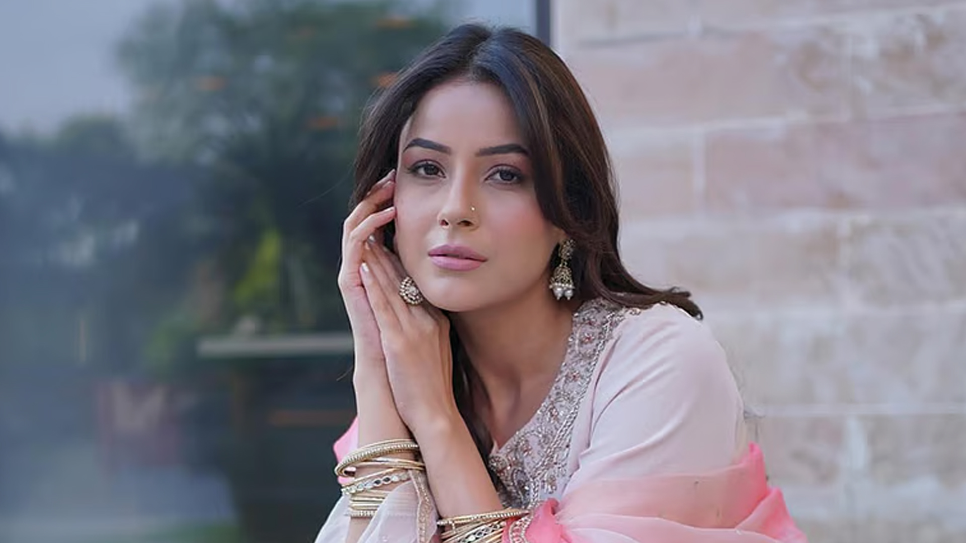 ‘জীবন নরক হয়ে উঠতে পারে’ কেন বললেন শেহনাজ?