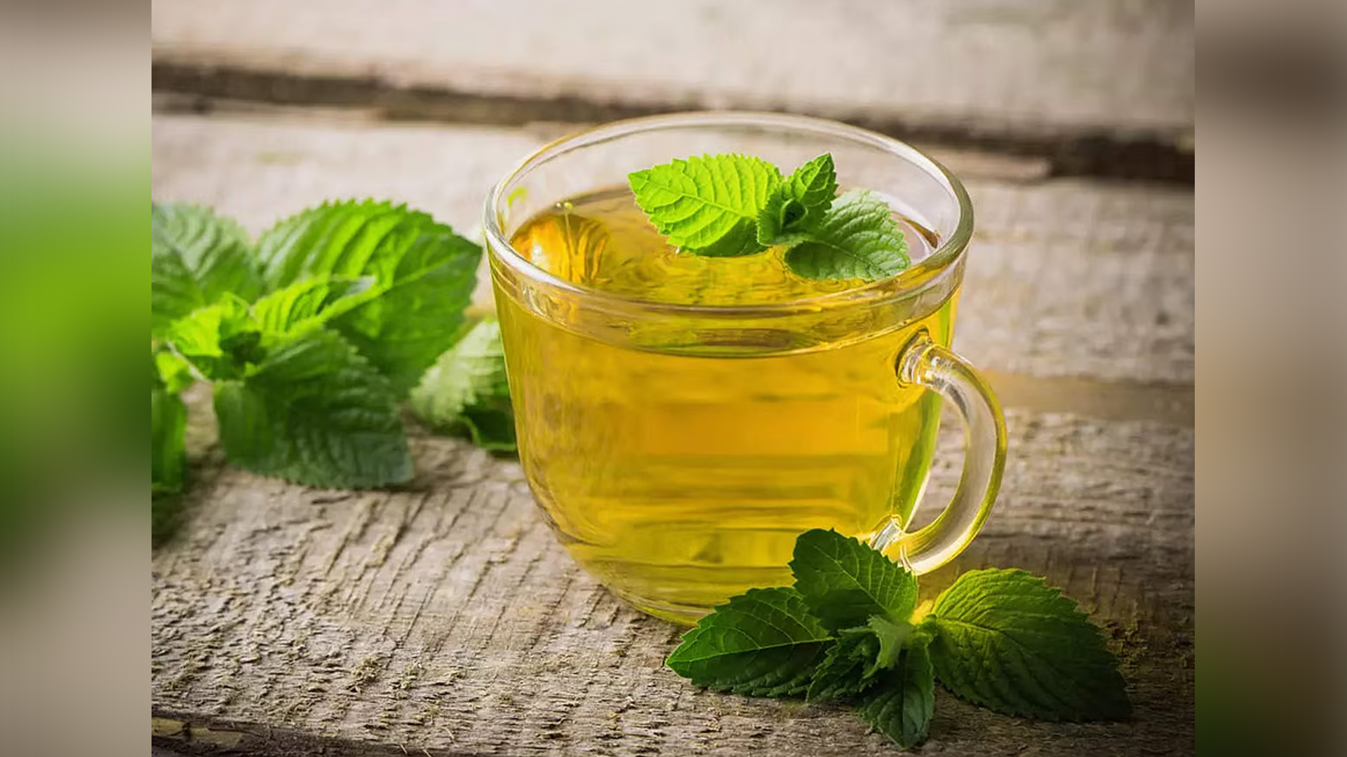 পুদিনা চা খেলে কী হয় শরীরে?