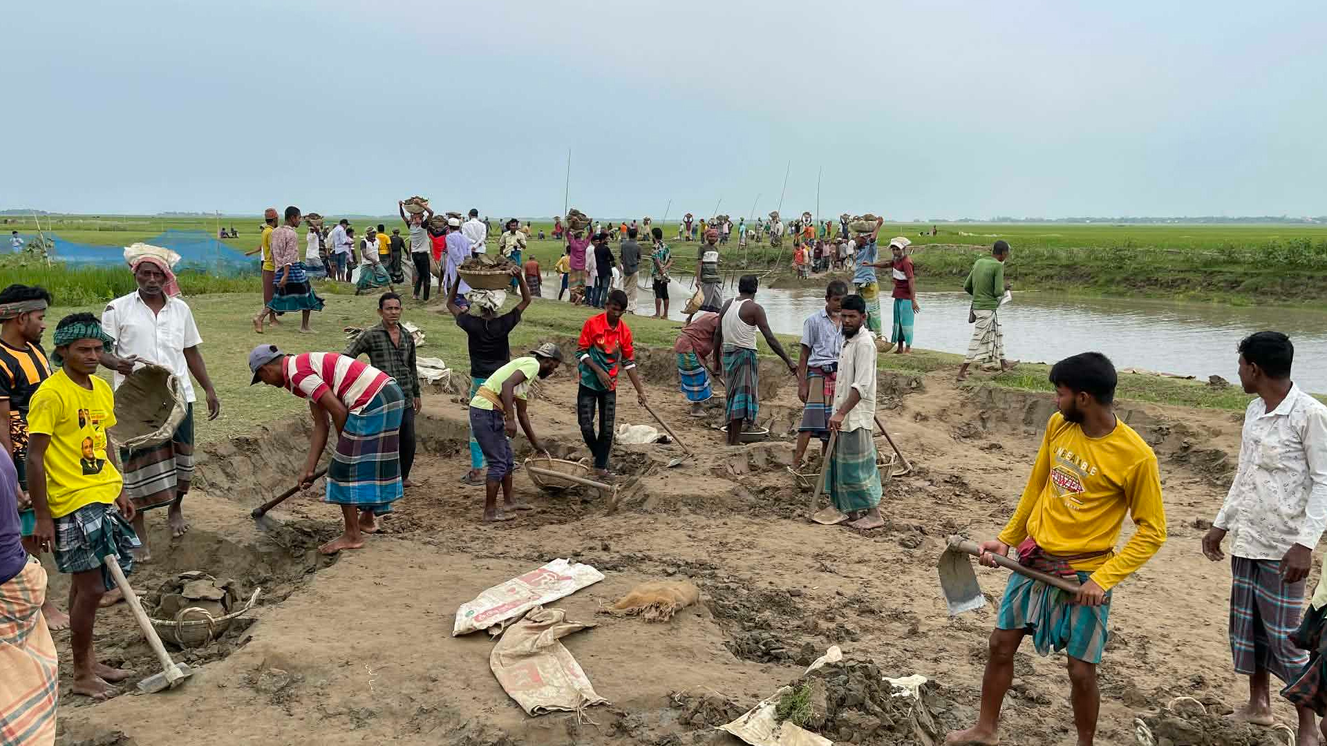 ডুবতে বসেছে হাওড়ের ফসল, বাঁধ নির্মাণে কোদাল তুলে নিলো কৃষকরা