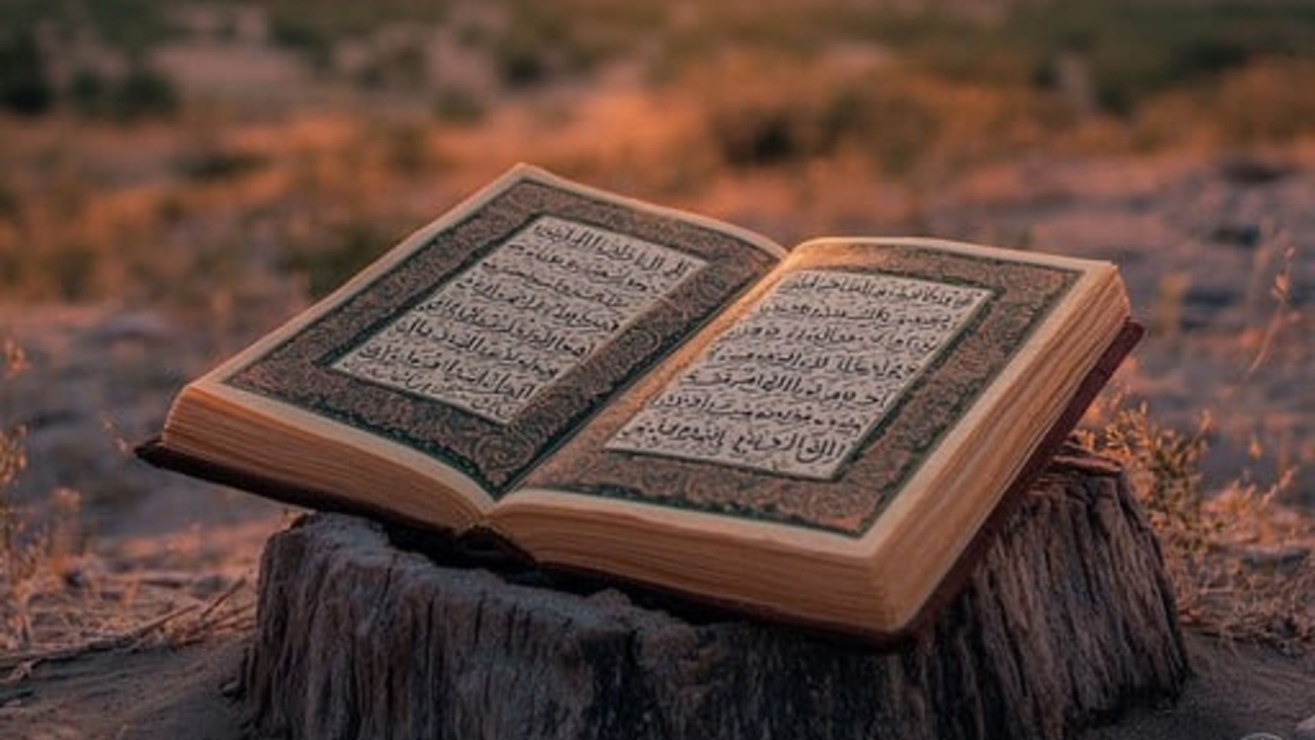 উত্তম চরিত্রের অধিকারী বানায় যেসব গুণ