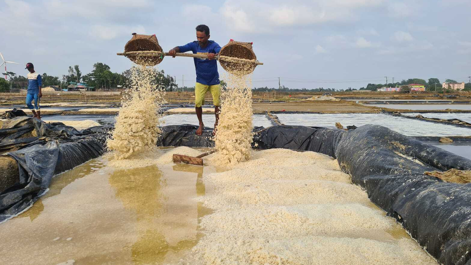 মাঠে বাড়ছে ‘সাদা সোনা’র ফলন, ন্যায্যমূল্যের দাবি চাষিদের