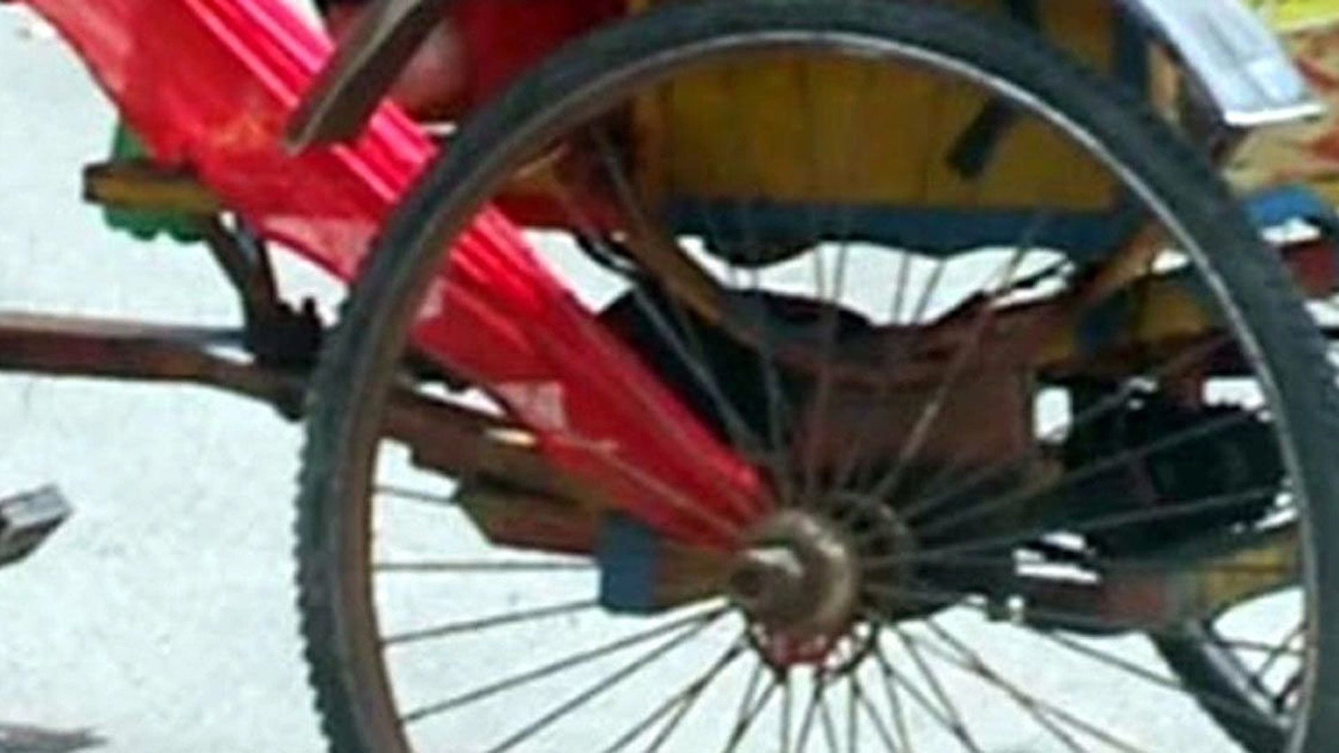 অটোরিকশায় ওড়না জড়িয়ে মারা গেলেন কামিনী
