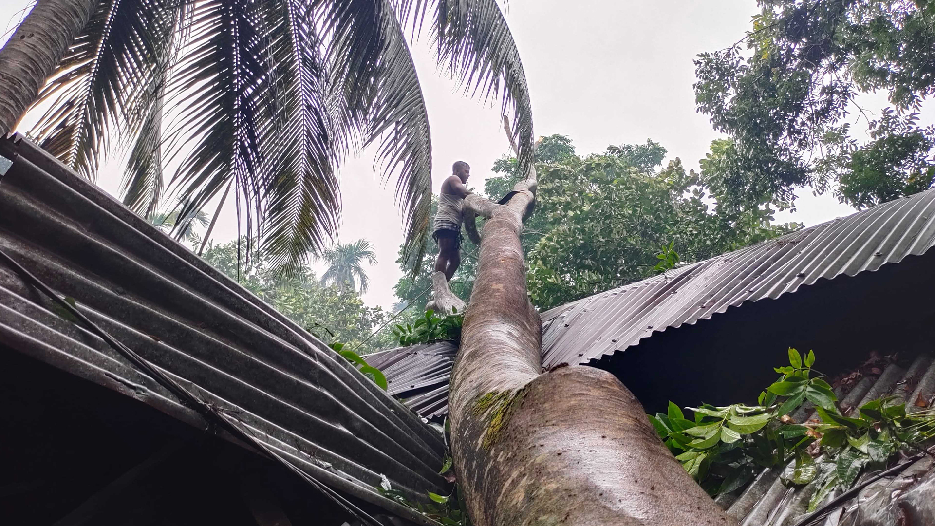 বরিশালে কালবৈশাখীর তাণ্ডব, বিদ্যুৎহীন ৫ উপজেলা