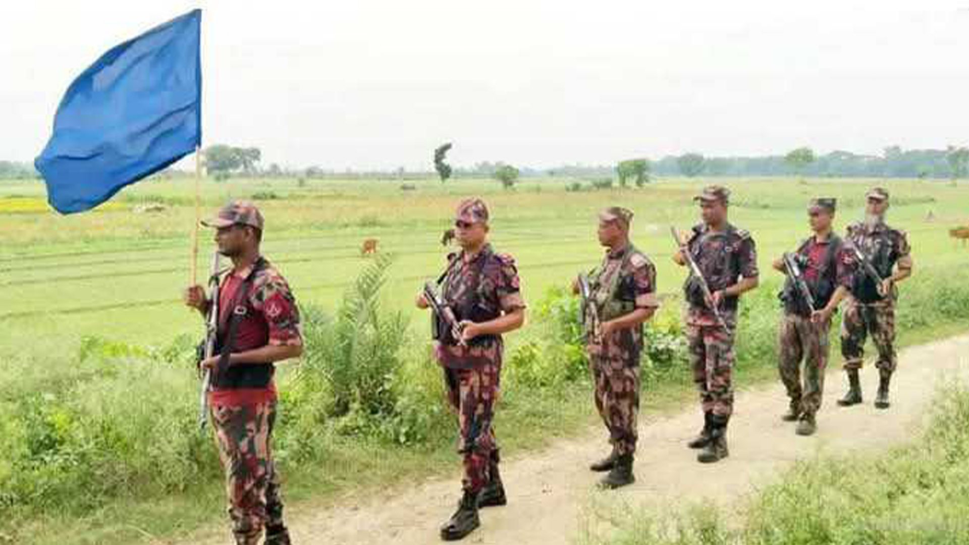 চামড়া পাচারের শঙ্কা, বেনাপোল সীমান্তে নিরাপত্তা জোরদার