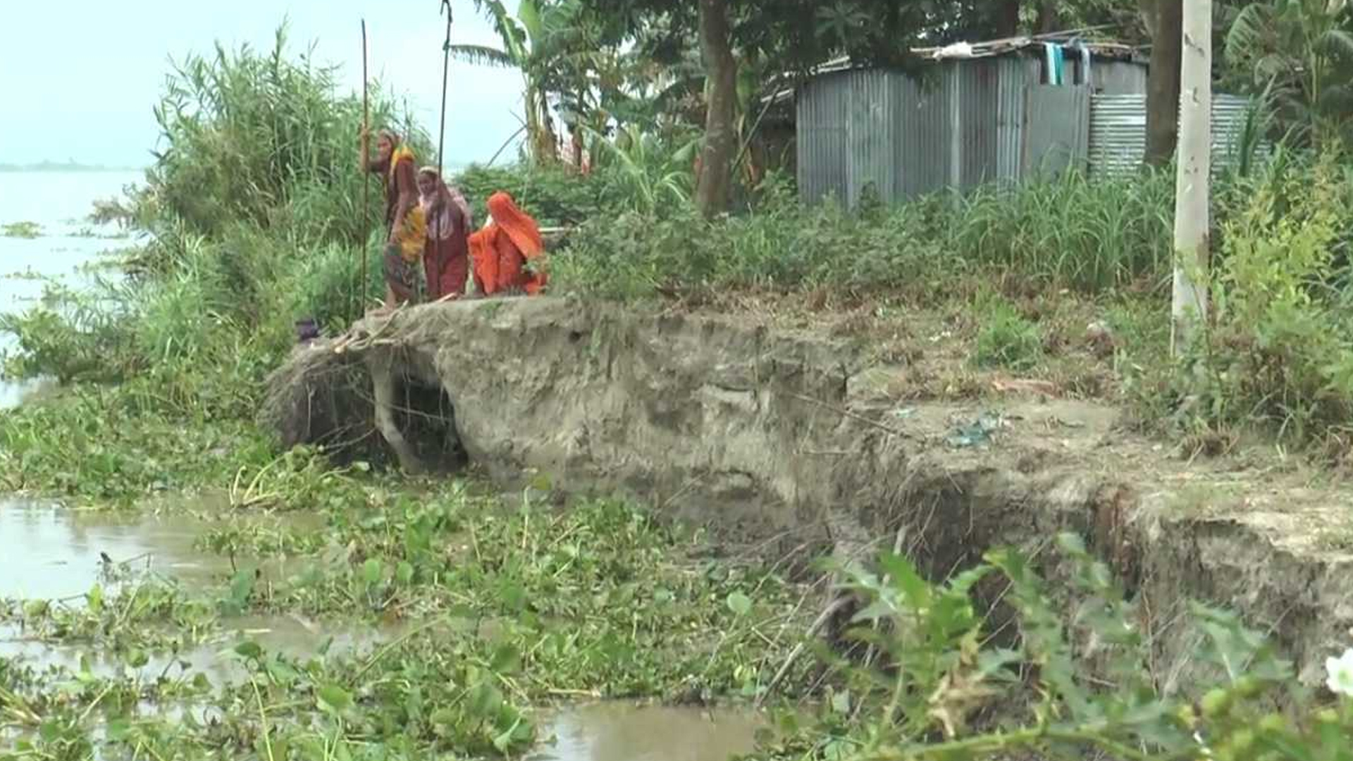 পানি কমলেও ভাঙন থামছে না, নদীগর্ভে বিলীন হচ্ছে ঘরবাড়ি-ফসলি জমি