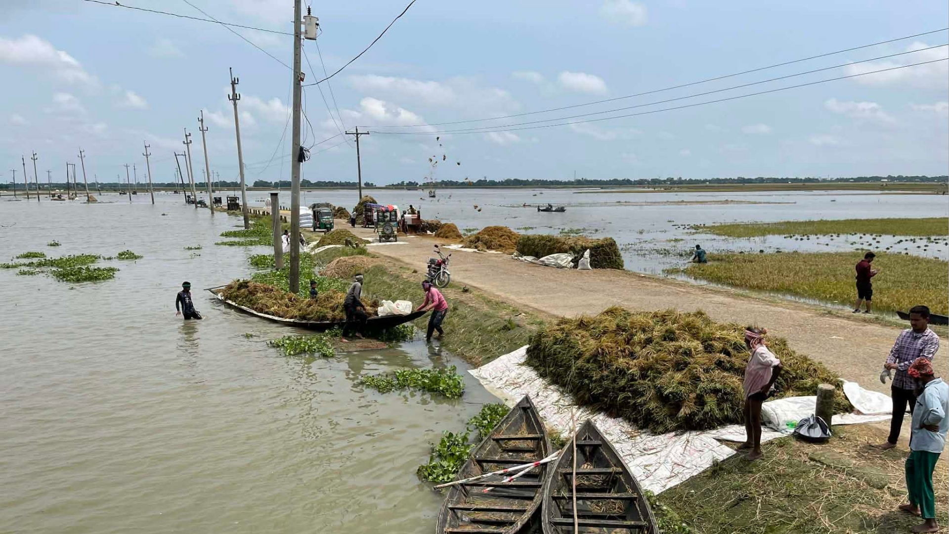 পানি কমলেও হাওড়ে নতুন করে বৃষ্টি, ধান পচার ভয়