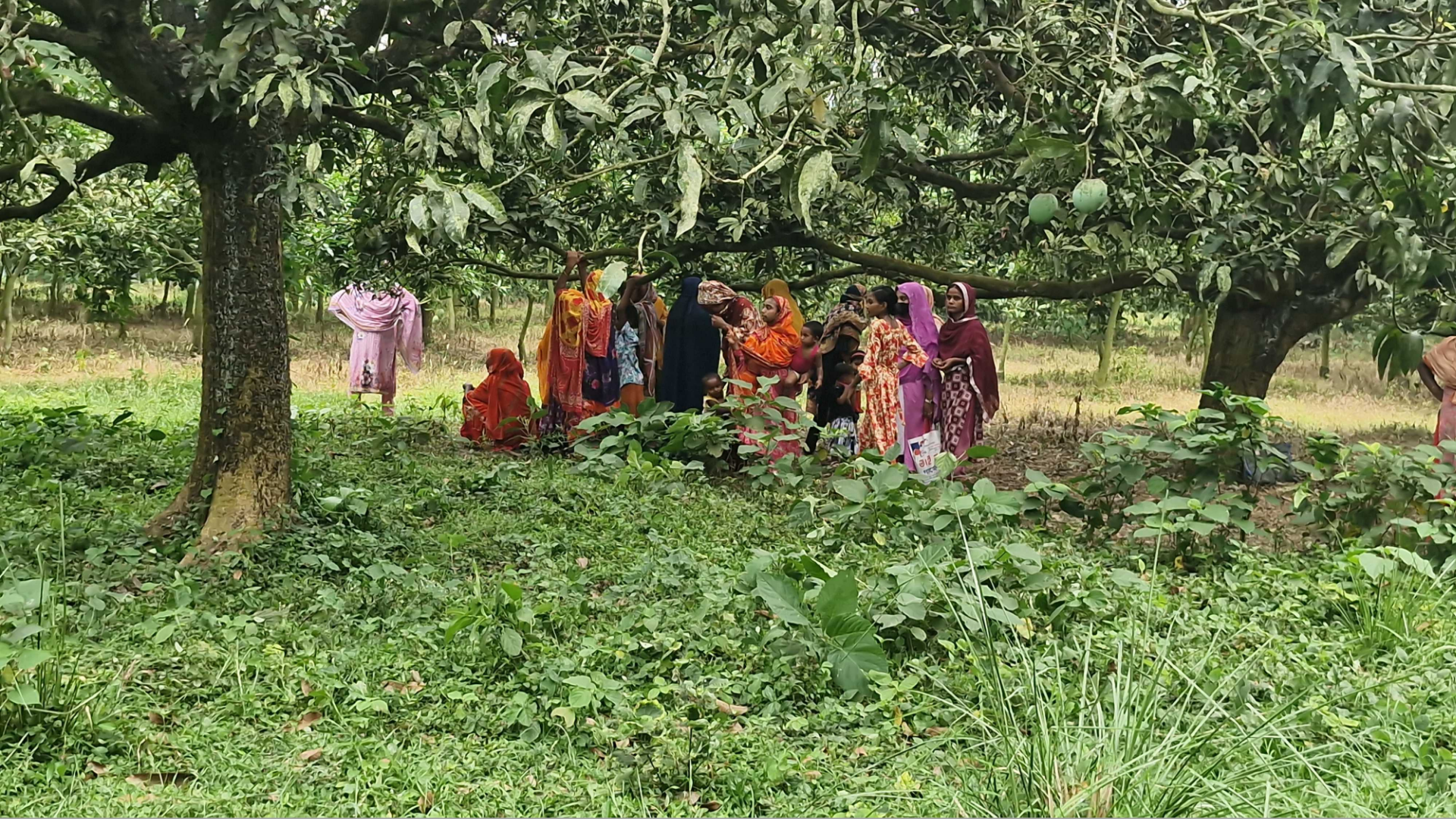 পুশইন চেষ্টা ব্যর্থ, তিন দিন পর ২৮ জনকে ফিরিয়ে নিল বিএসএফ