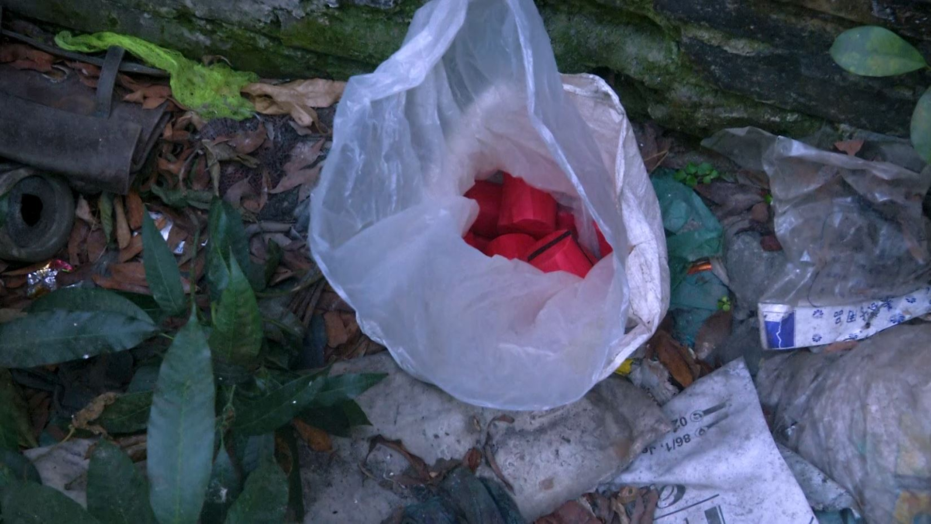 খুলনার বাগমারায় ১২টি ককটেল উদ্ধার