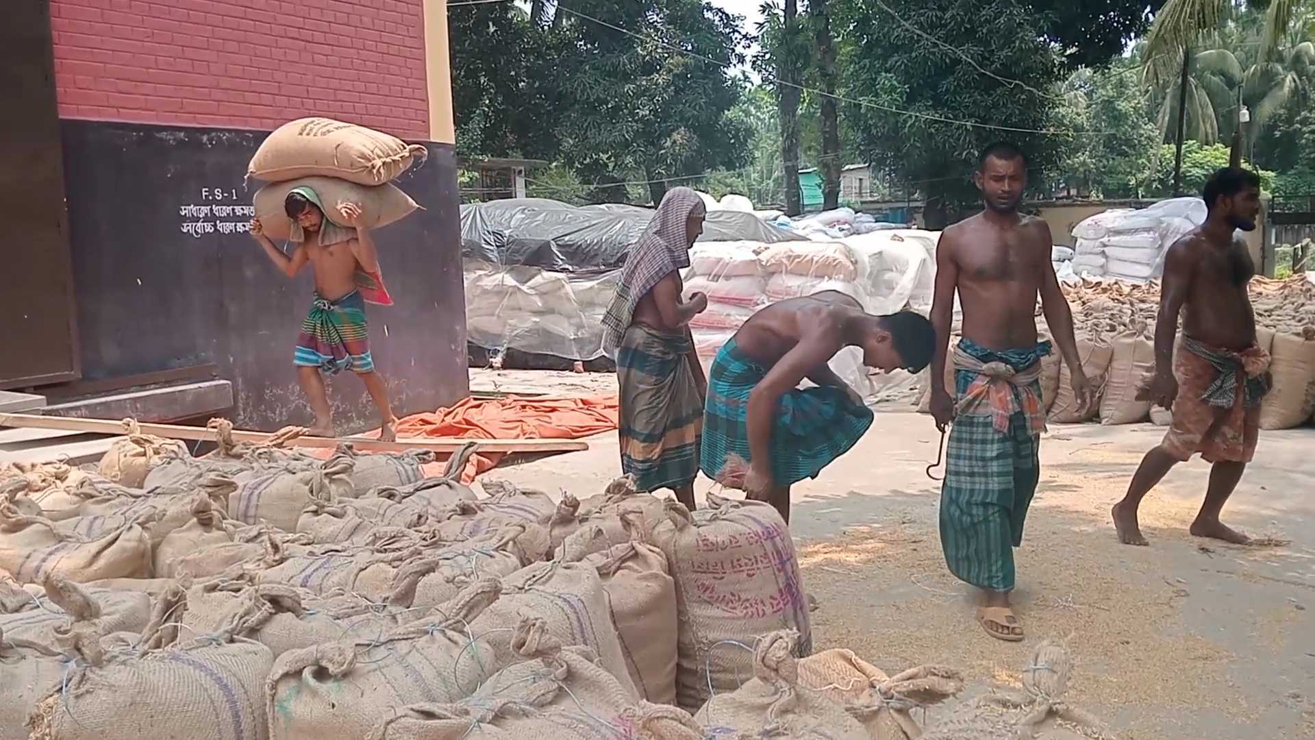 নাজিরপুরে ধান সংগ্রহে ব্যাপক অনিয়ম, প্রকৃত কৃষকরা 