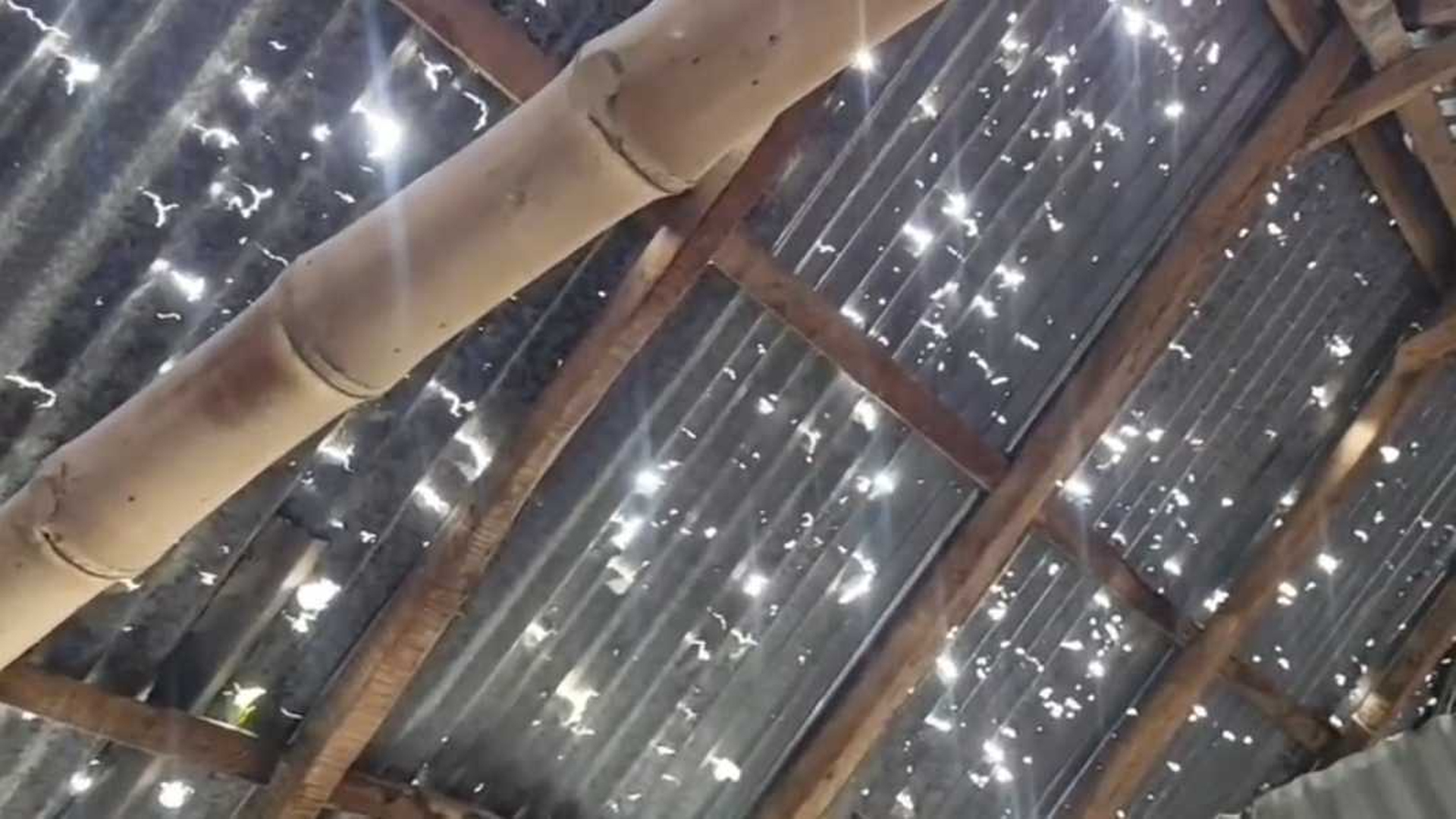 শিলাবৃষ্টিতে লালমনিরহাটে ফসলের ক্ষতি, ফুটো হয়ে গেছে টিনের চাল