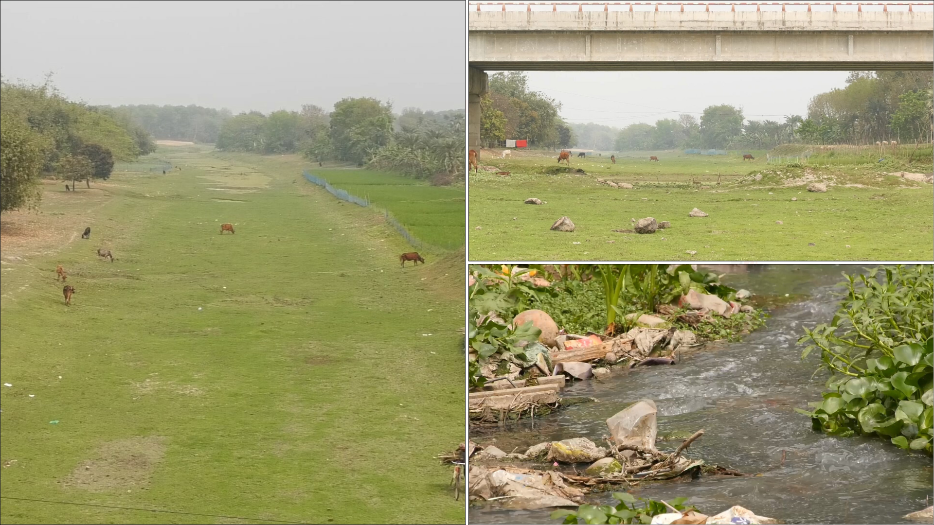 নাব্য হারিয়ে মরা খালে পরিণত ঝিনাইদহের নদ-নদীগুলো