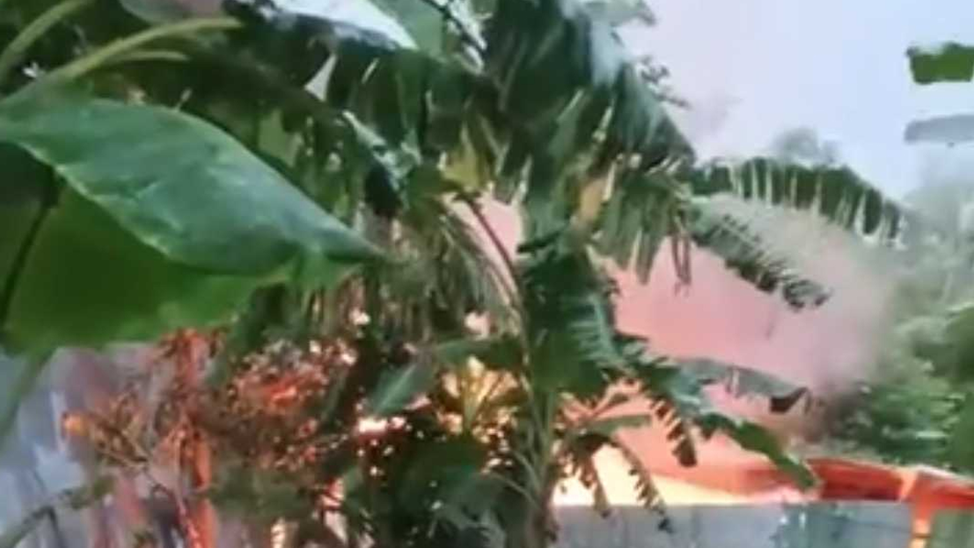 পাবনায় ধর্ষণ-হত্যার জেরে অভিযুক্তের বাড়িতে অগ্নিসং