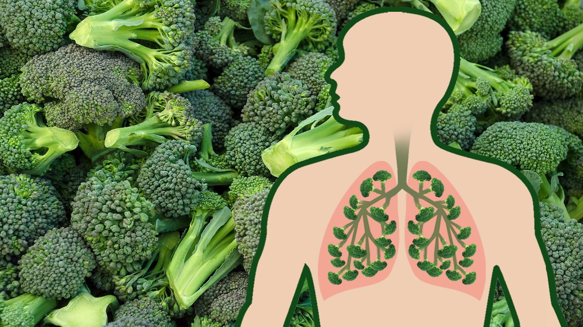 Pavlovskiy Posadda xorozni sorishni xohlaydiganlar Pavlovskiy Posadda xorozni sorishni xohlaydiganlar