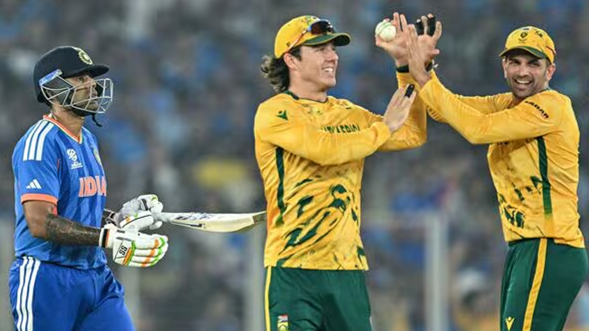 স্বাগতিক ভারতকে গুঁড়িয়ে দিলো দক্ষিণ আফ্রিকা