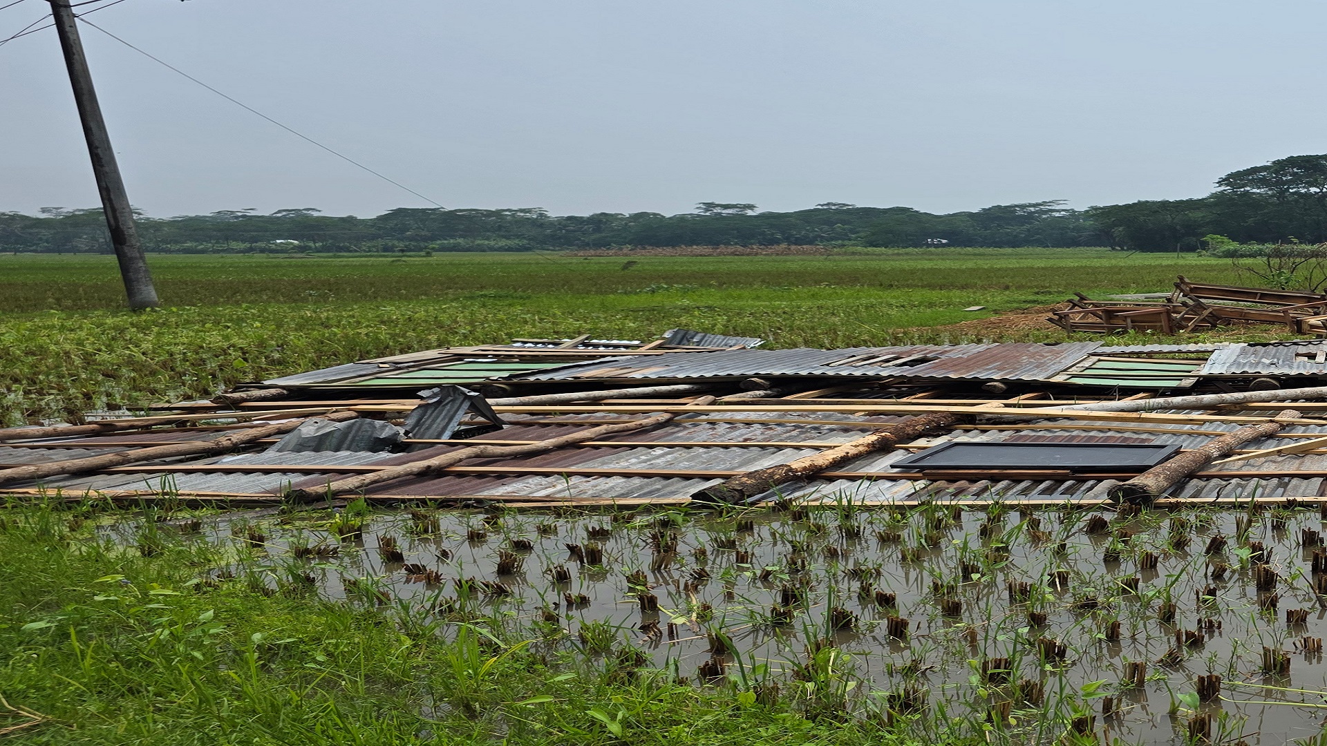 হঠাৎ ঝড়ে লন্ডভন্ড ভোলার অর্ধশতাধিক ঘরবাড়ি
