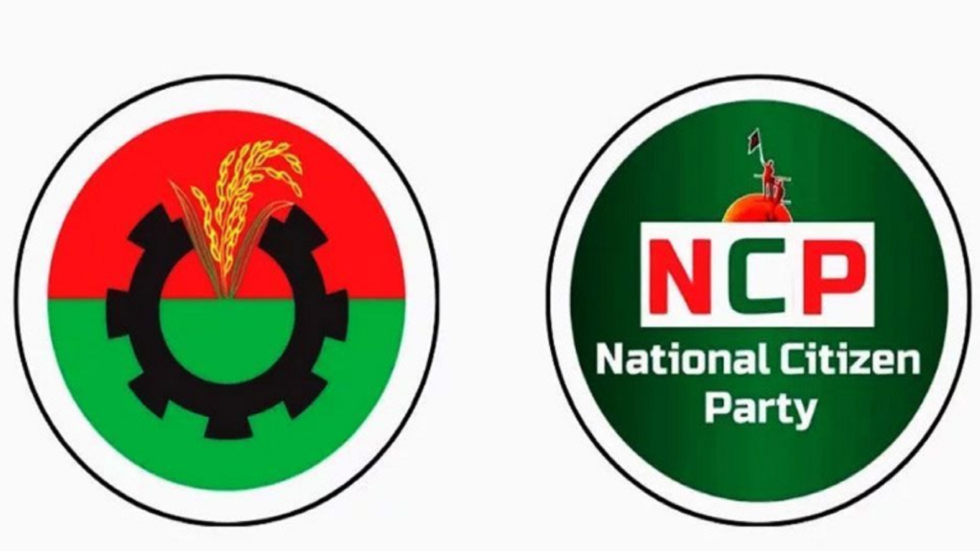 বিএনপির যেসব প্রার্থীর সঙ্গে লড়তে হবে নাহিদ ও হাসনাতদের