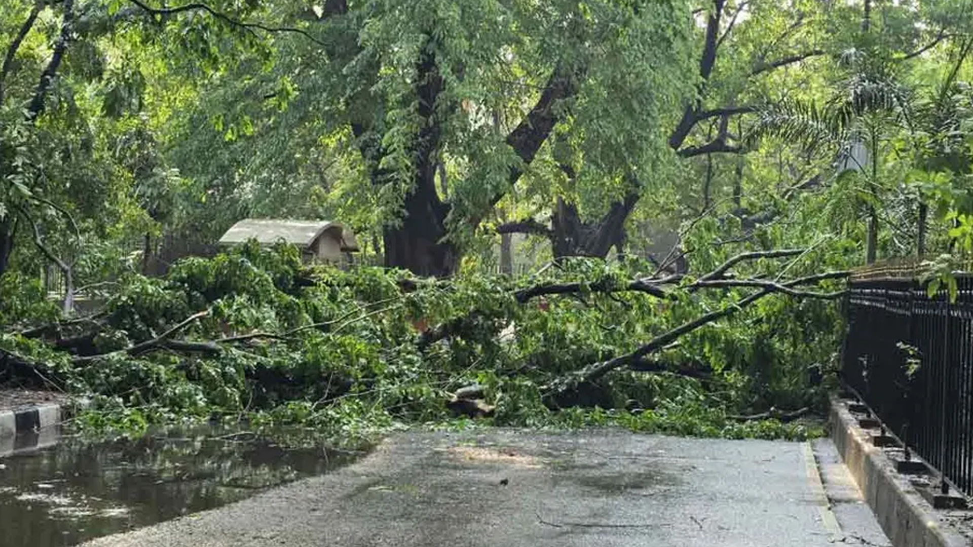 সকালের মধ্যে ৮ বিভাগেই ৮০ কিমি বেগে ঝড়ের শঙ্কা