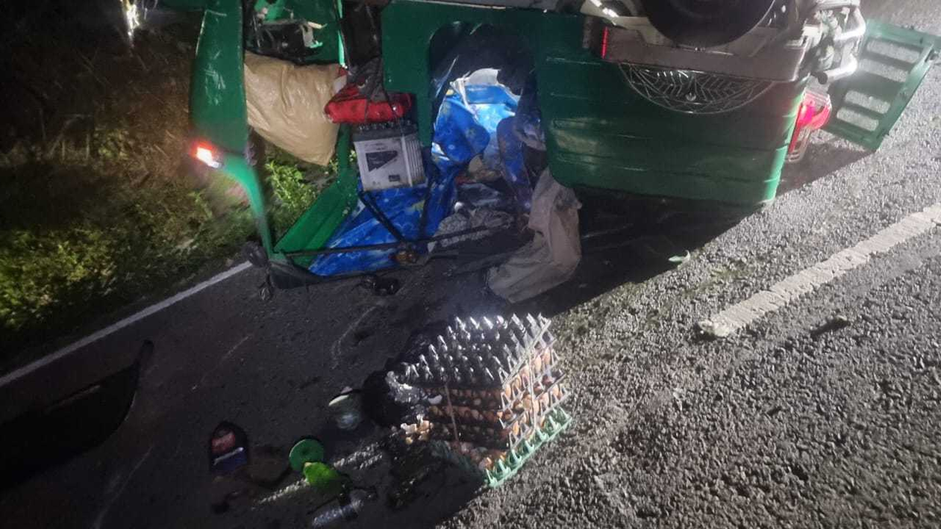 অটোরিকশায় বন্যহাতির আক্রমণ, একজনের মৃত্যু