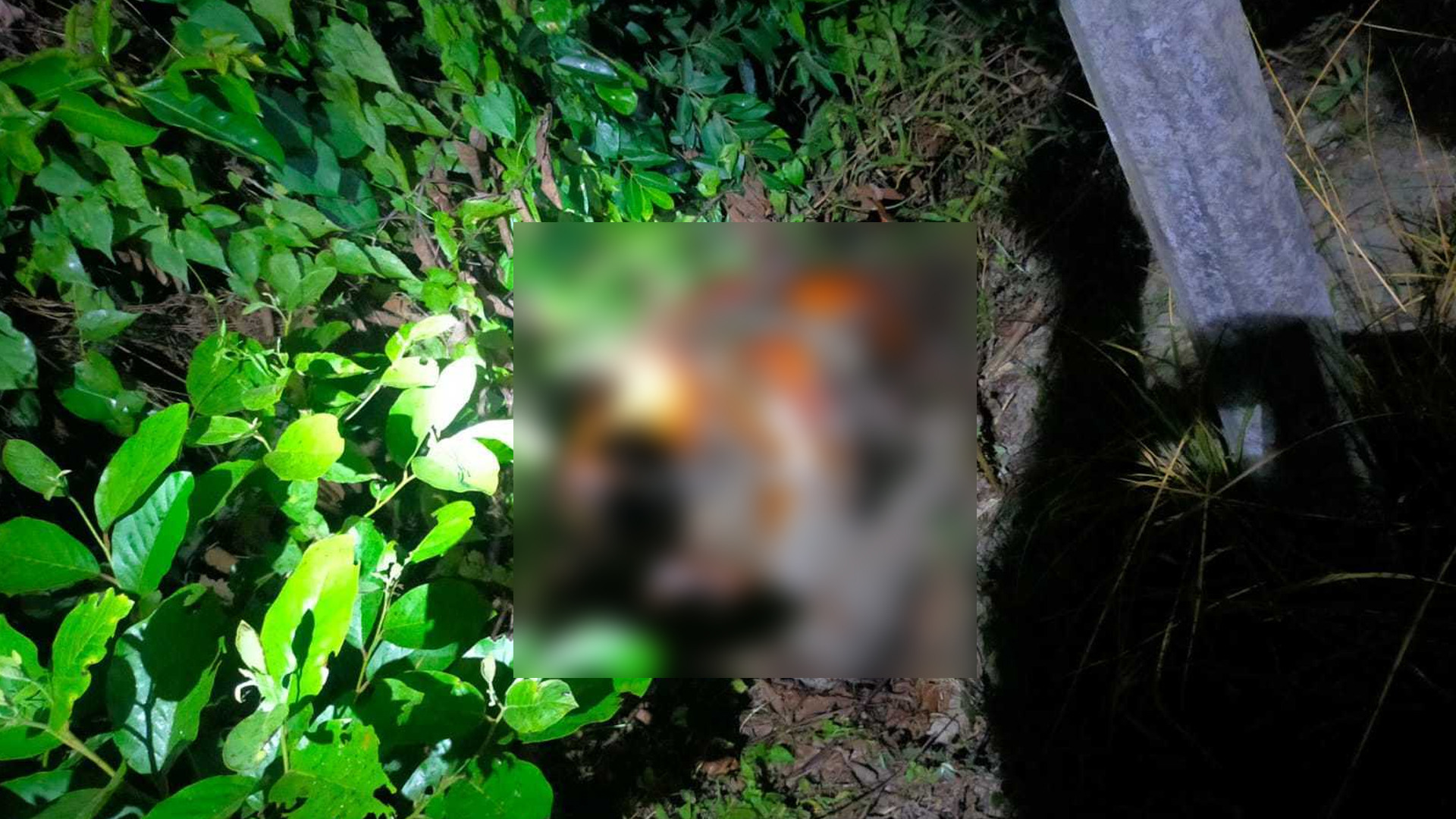 ৪ দিন নিখোঁজের পর মিলল খোকনের পোড়া মরদেহ, চাটখিলে চাঞ্চল্য