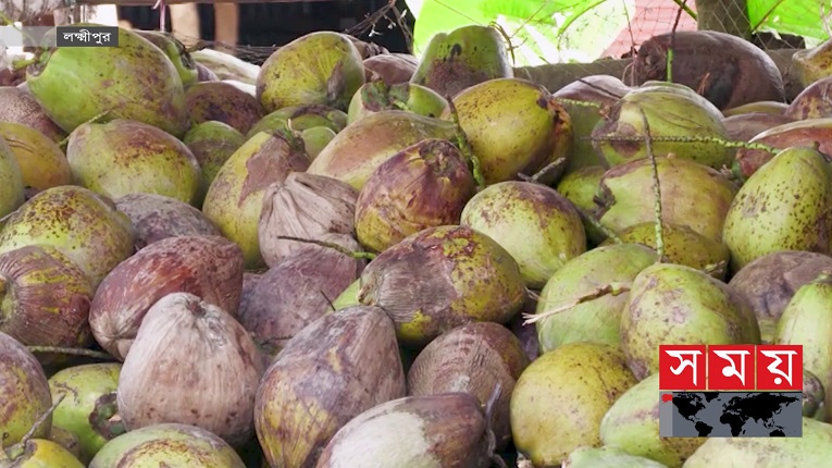 80 pornografik filmlar onlayn