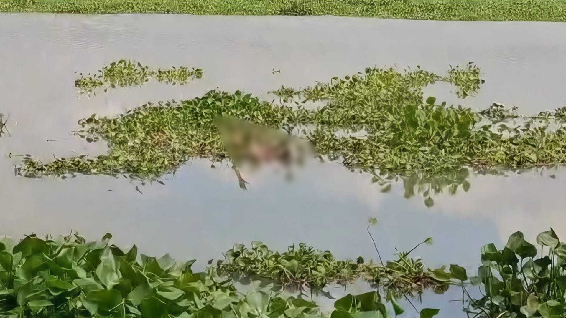 নিখোঁজের ৪ দিন পর নদীতে মিলল বৃদ্ধের মরদেহ