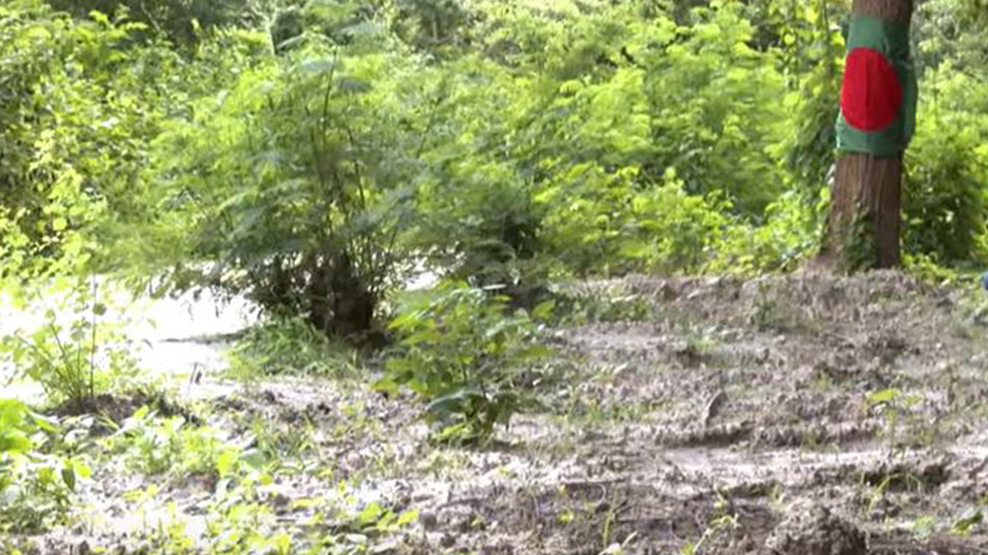 রায়েরবাজার কবরস্থান থেকে শহীদদের মৃতদেহ উত্তোলন চলছে: সিআইডি