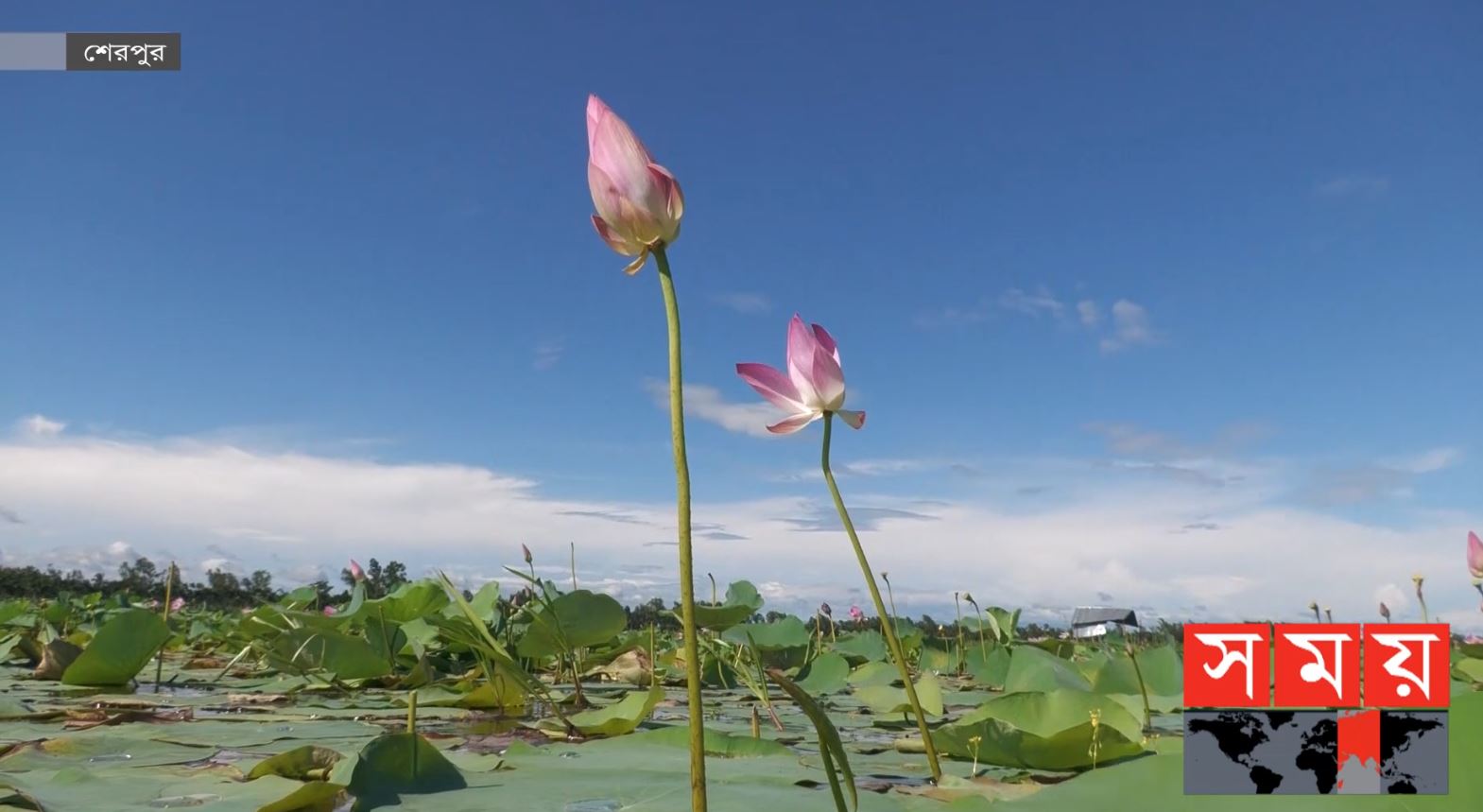 Mazali osetin ayollar bilan porno