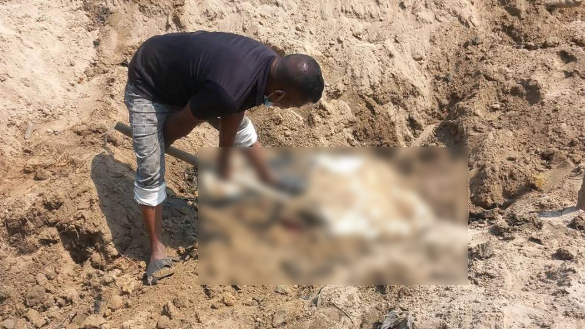 বন্যহাতি মেরে মাটিচাপা, ওপরে ঘর তুলে আলামত গোপনের চেষ্টা!