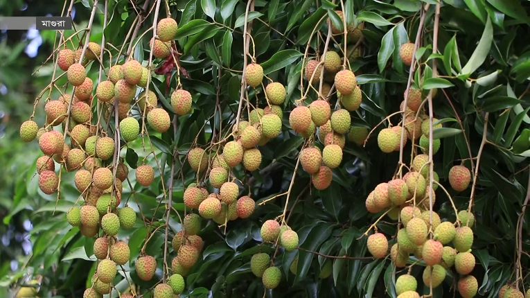 Erkaklar pornosini tomosha qiling Qizil qalpoqcha porno multfilmi ruscha tarjimasi bilan