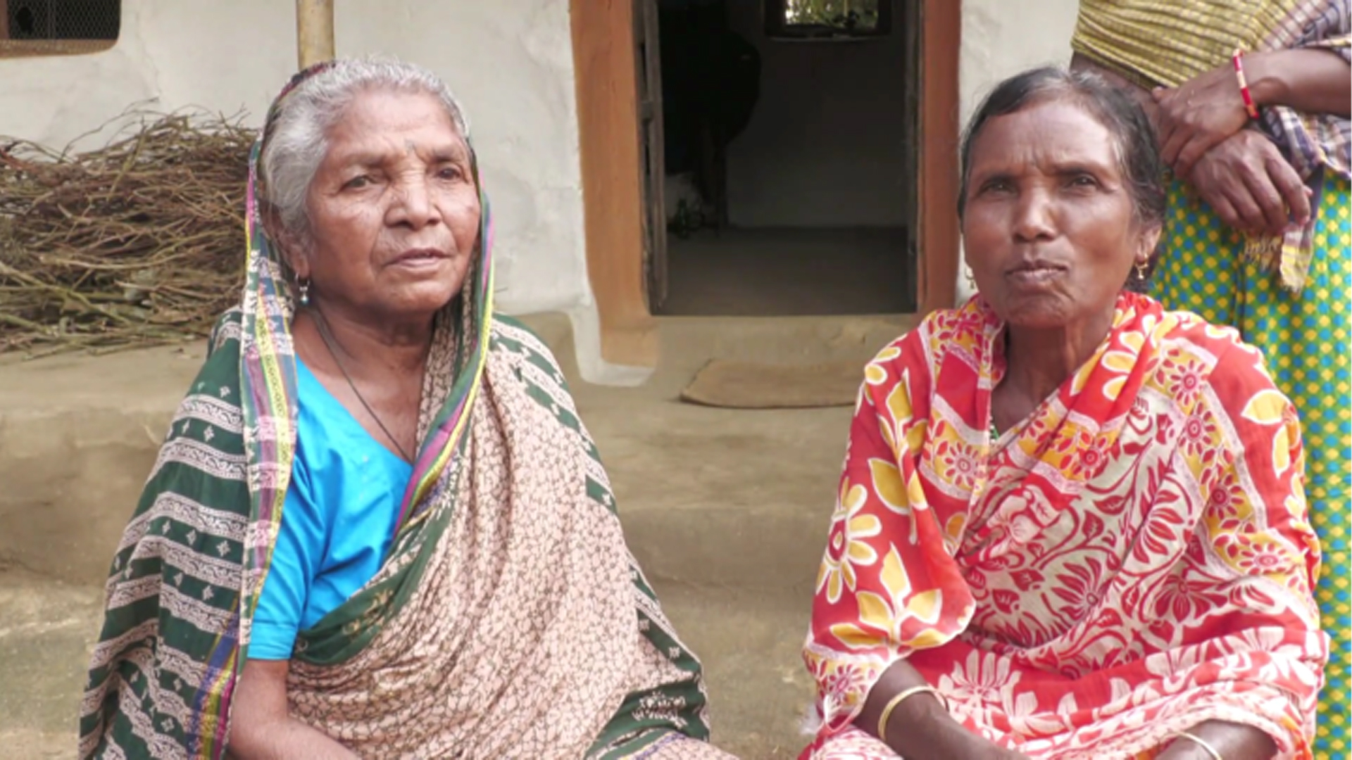 Xola uning mushukini erkalaydi