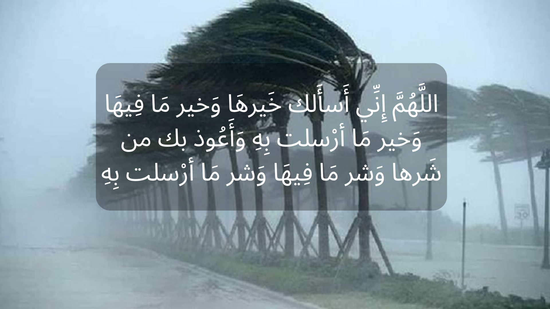 külot holda rus mashhur Gimnastlar serialidagi soxta pornografik suratlar