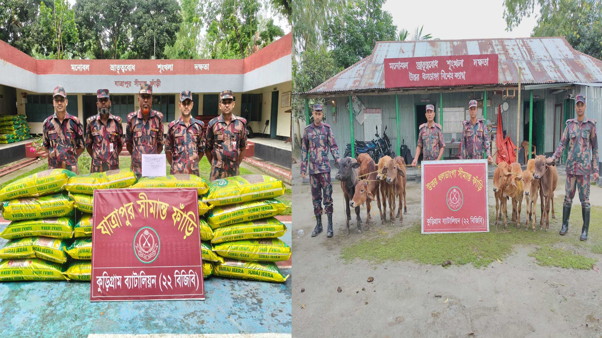 কুড়িগ্রাম সীমান্তে গরুসহ ৩৬ লাখ টাকার ভারতীয় পণ্য জব্দ