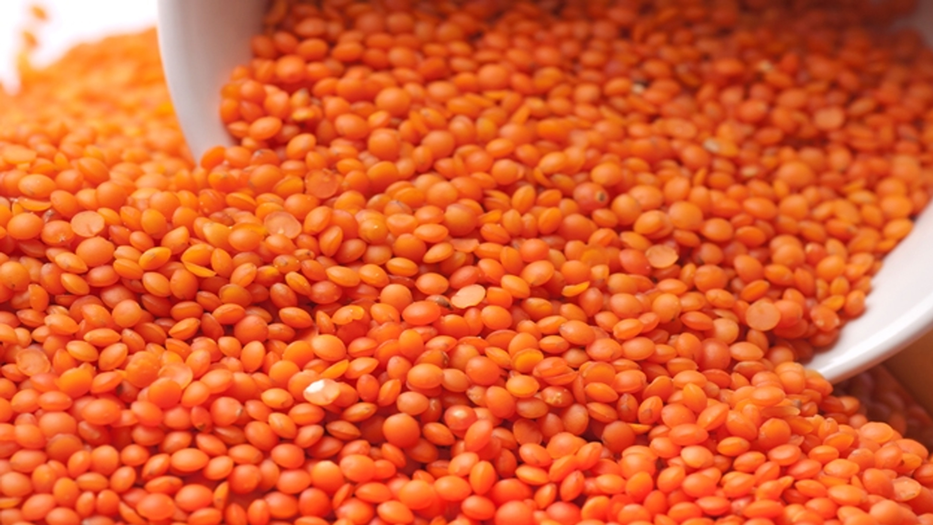 মসুর ডাল খেলে কী ঘটে শরীরে?