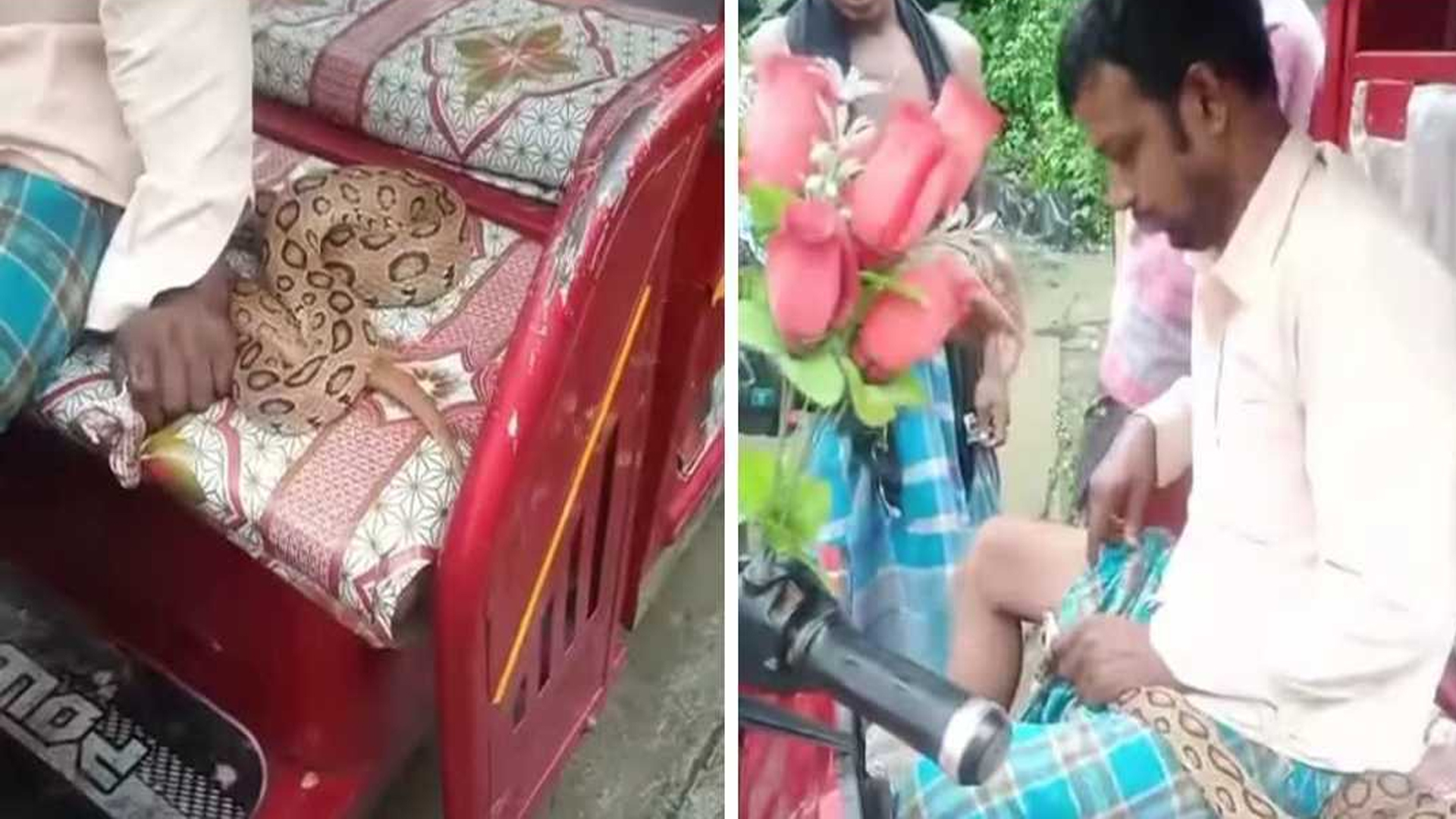 কামড় দেয়া রাসেল ভাইপার নিয়ে হাসপাতালে আক্রান্ত যুবক