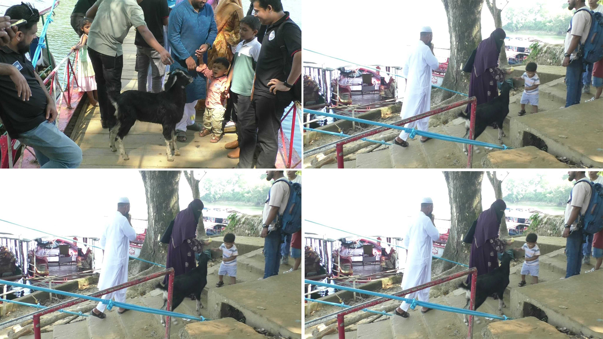 রাঙ্গামাটির আইকন ঝুলন্ত সেতু এলাকা যেন গো-চারণ ভূমি!