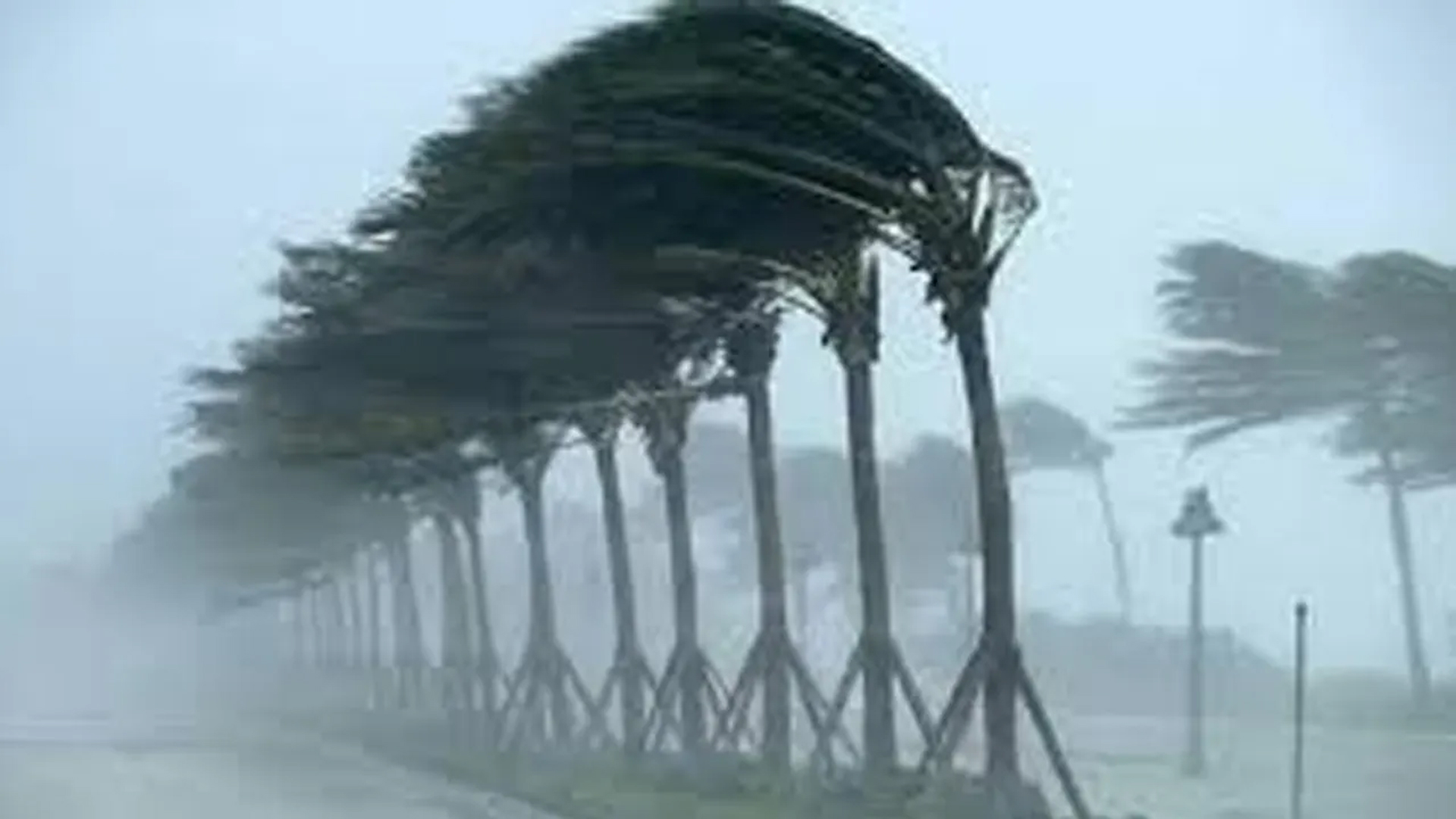 রাতে যেসব জেলায় ৬০ কিমি বেগে ঝড় ও বজ্রসহ বৃষ্টির আভাস