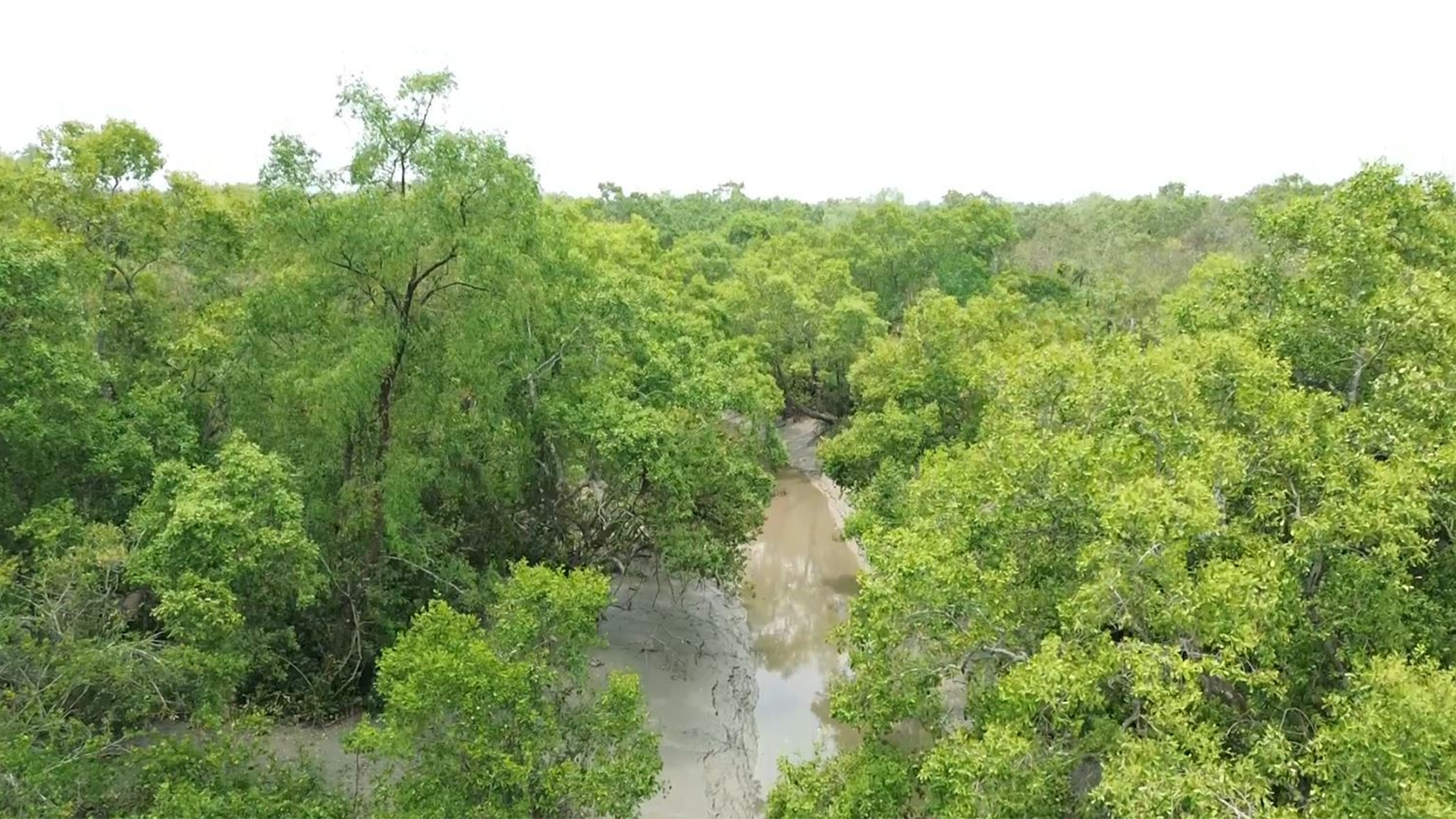 রাসপূজায় যেতে সুন্দরবনের পাঁচটি রুট নির্ধারণ