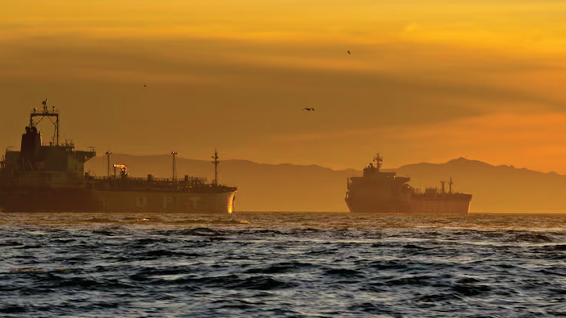 মার্কিন অবরোধ ‘অমান্য’ করে হরমুজ প্রণালি পার হলো চীনা জাহাজ
