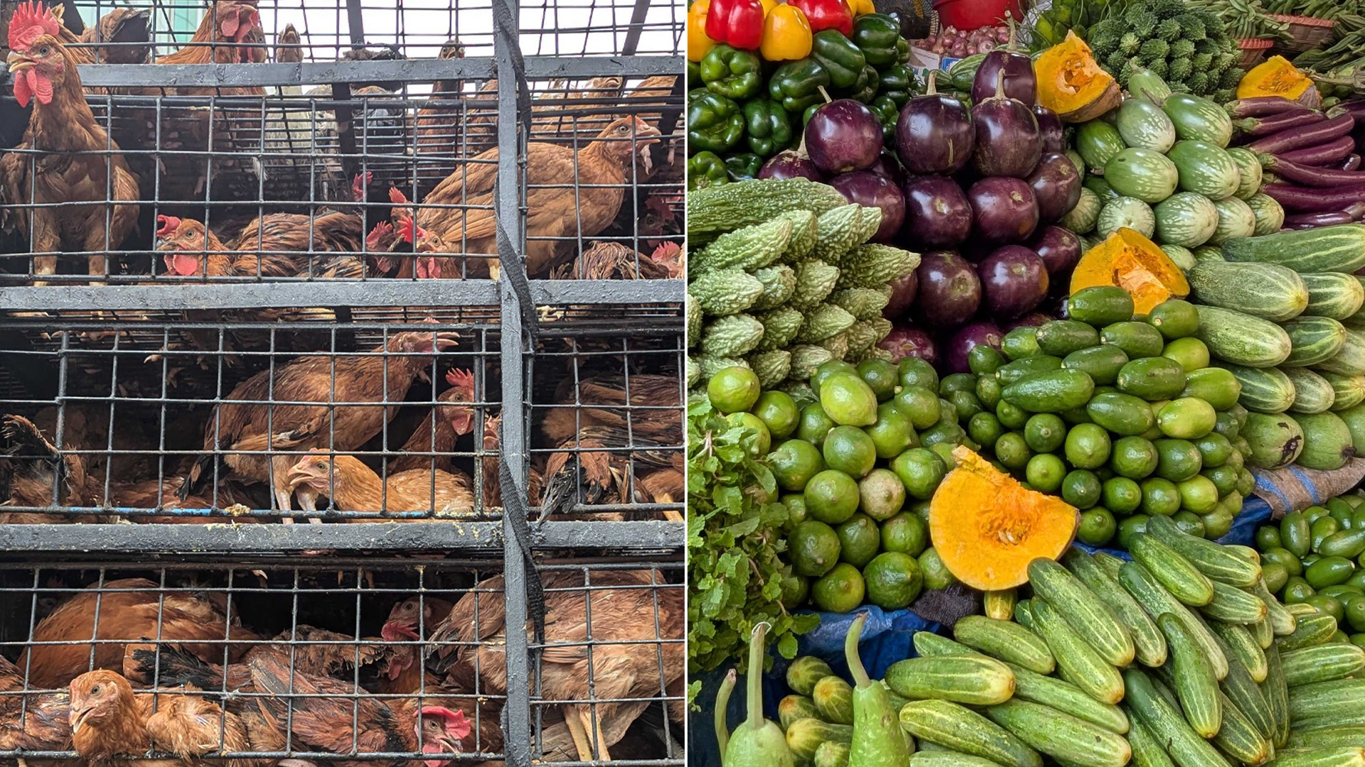 অস্থির মুরগির বাজার, সবজির দামও চড়া