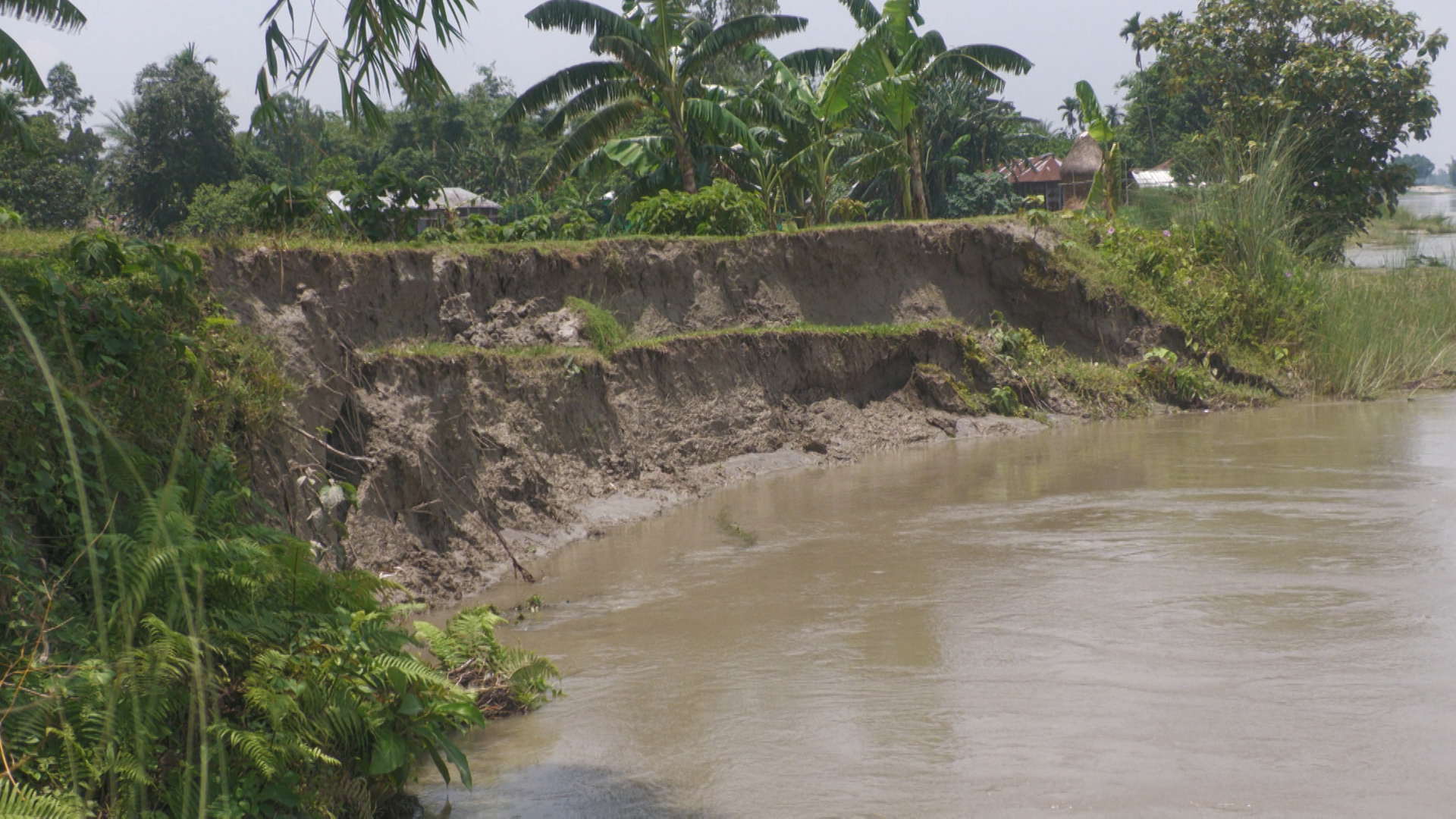 Ular mast holda uy qurilishi pornosini yasadilar