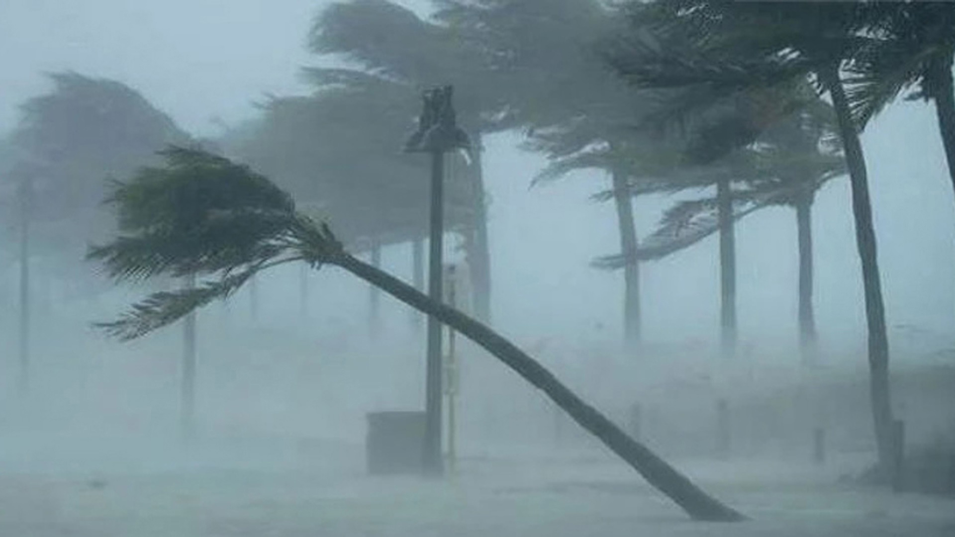 রাতে ঢাকাসহ ১৯ জেলায় ৬০ কিমি বেগে ঝড়ের আশঙ্কা