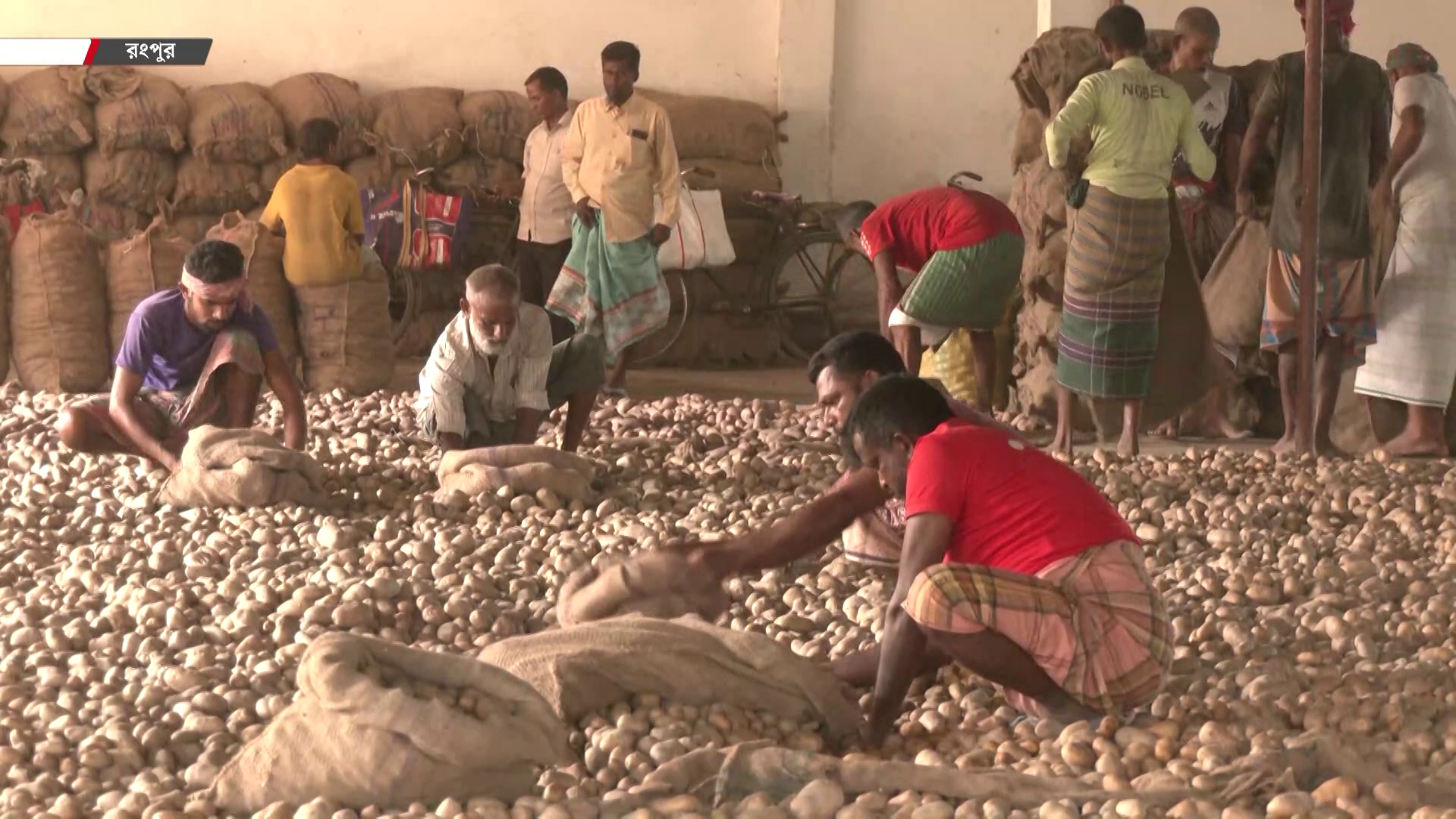 বেঁধে দেয়া দামের বাস্তবায়ন নেই, আলু নিয়ে বিপাকে চাষি-হিমাগার মালিকরা