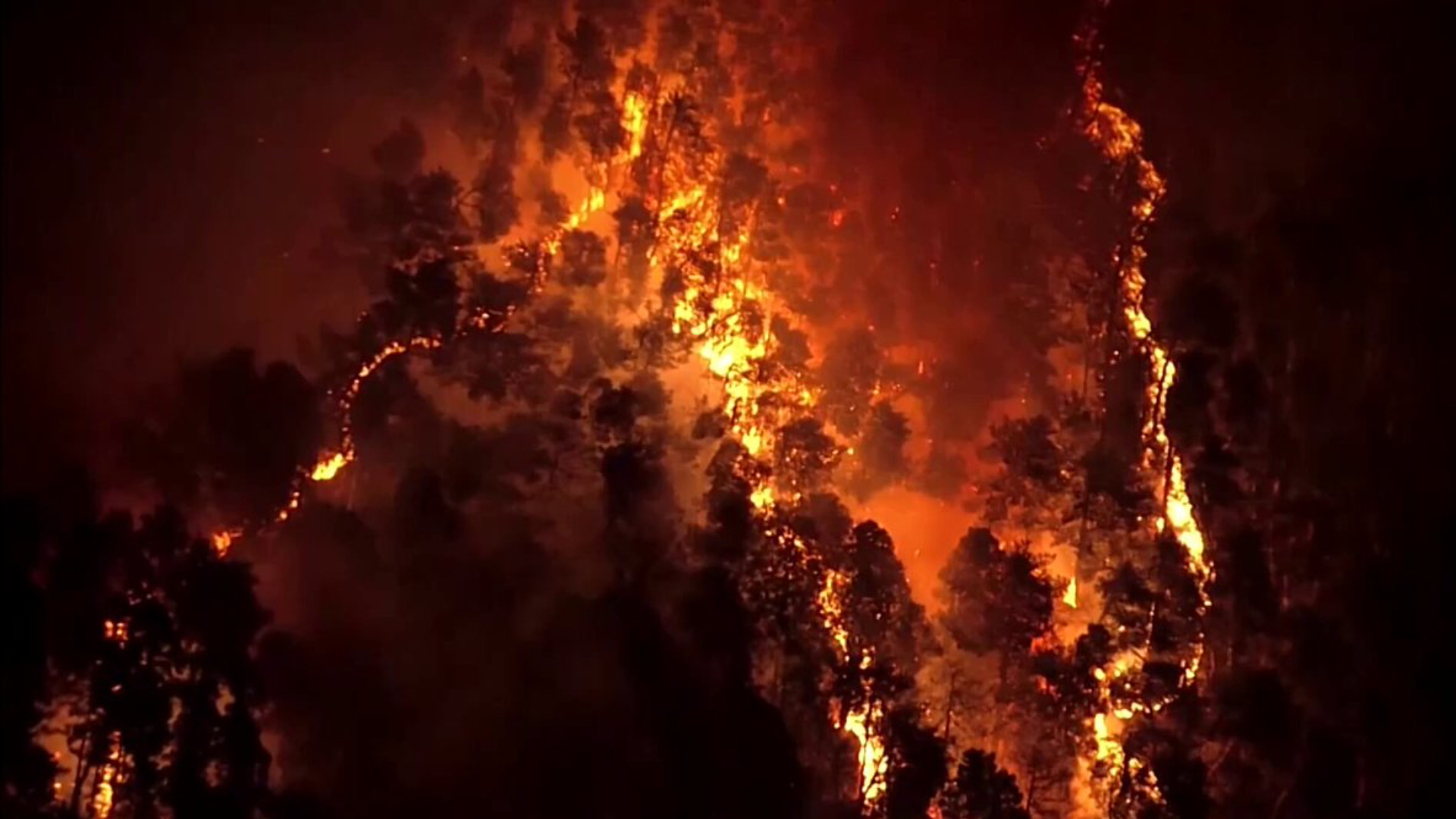 জাপানে বিধ্বংসী দাবানল, ছড়িয়ে পড়ছে লোকালয়েও