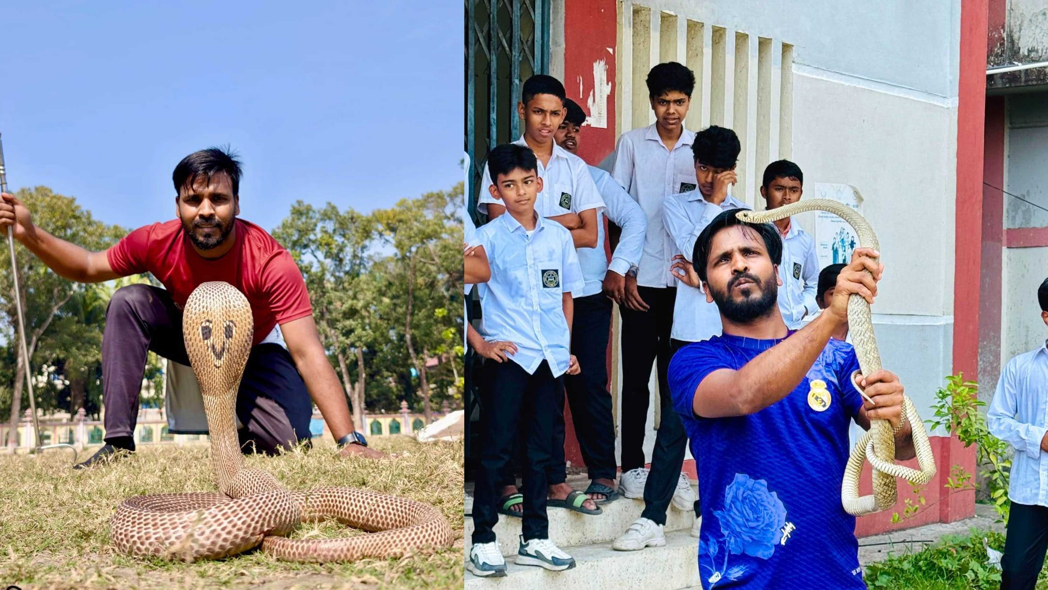 শখের বসে সাপ ধরার কৌশল শিখে মনির এখন সবার আস্থা