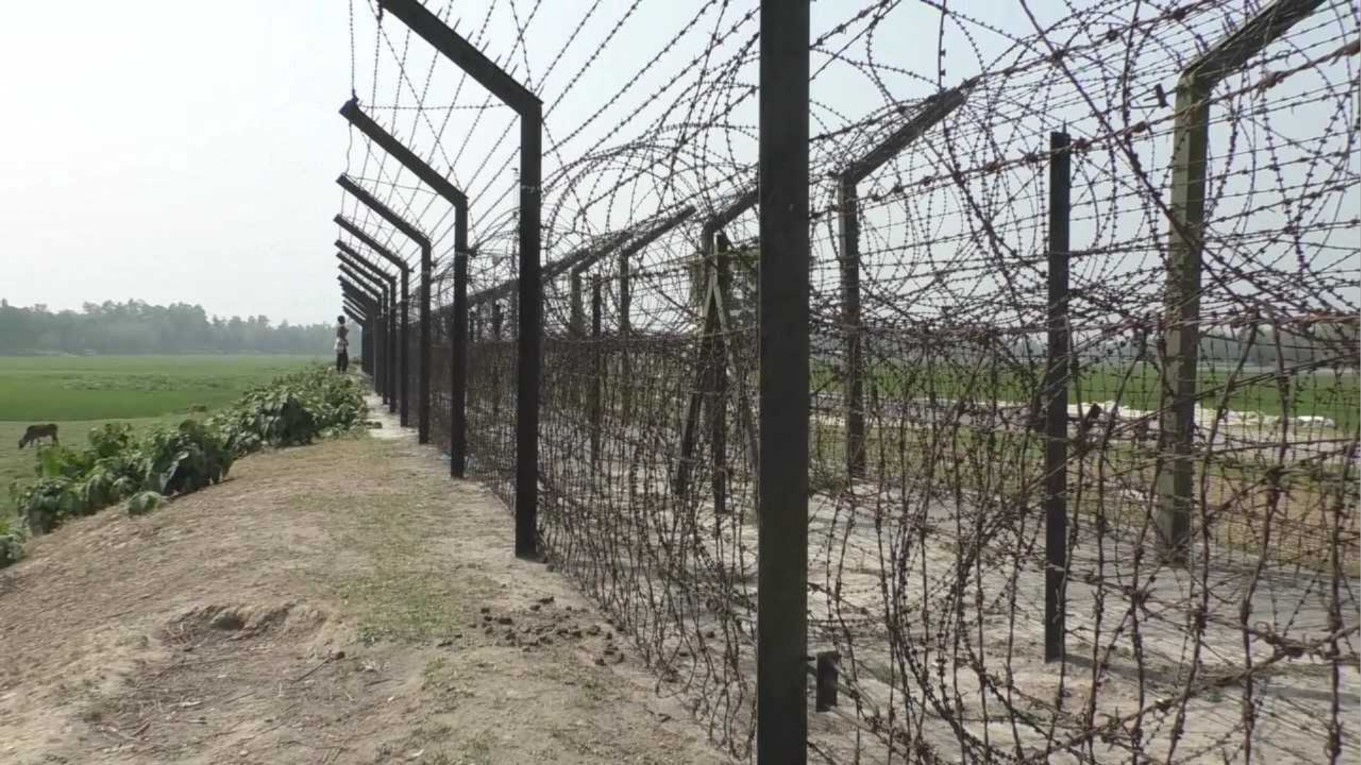 সীমান্তে বিএসএফের হাতে ২ বাংলাদেশি যুবক আটক